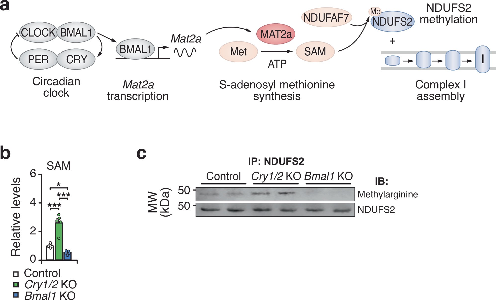 Extended Data Fig. 3