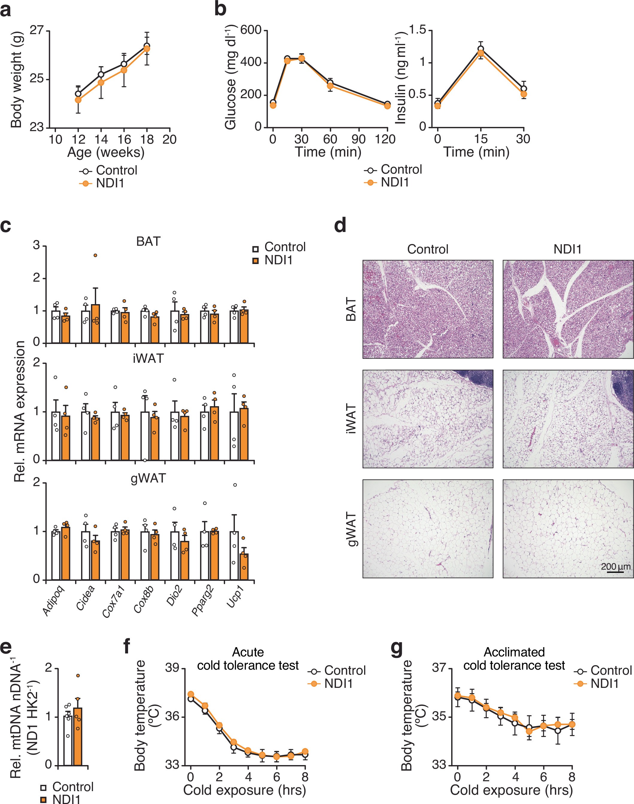 Extended Data Fig. 5
