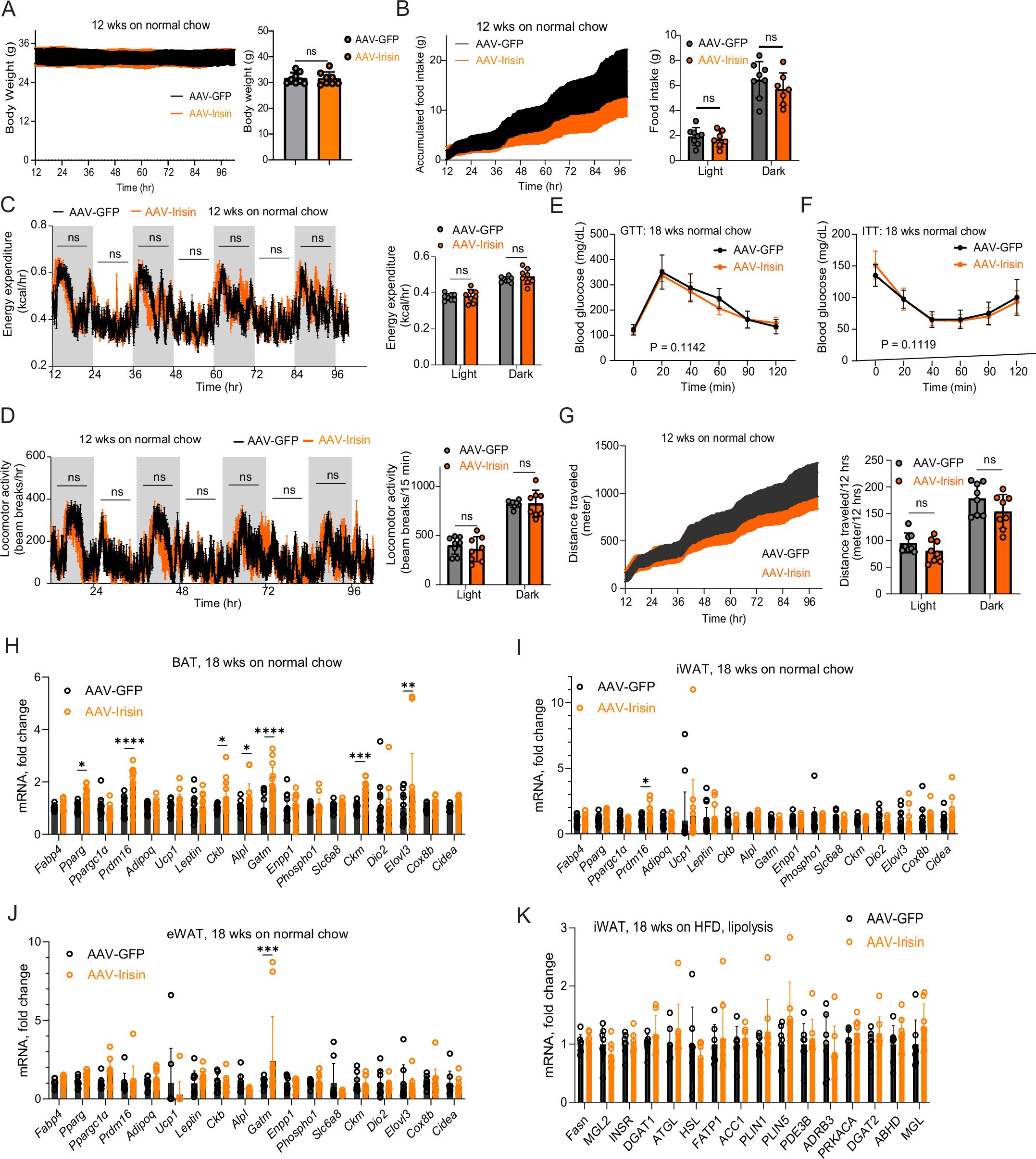 Extended Data Fig. 2: Chronic irisin treatment has no effects on energy expenditure and glucose homeostasis in normal-chow-fed mice.