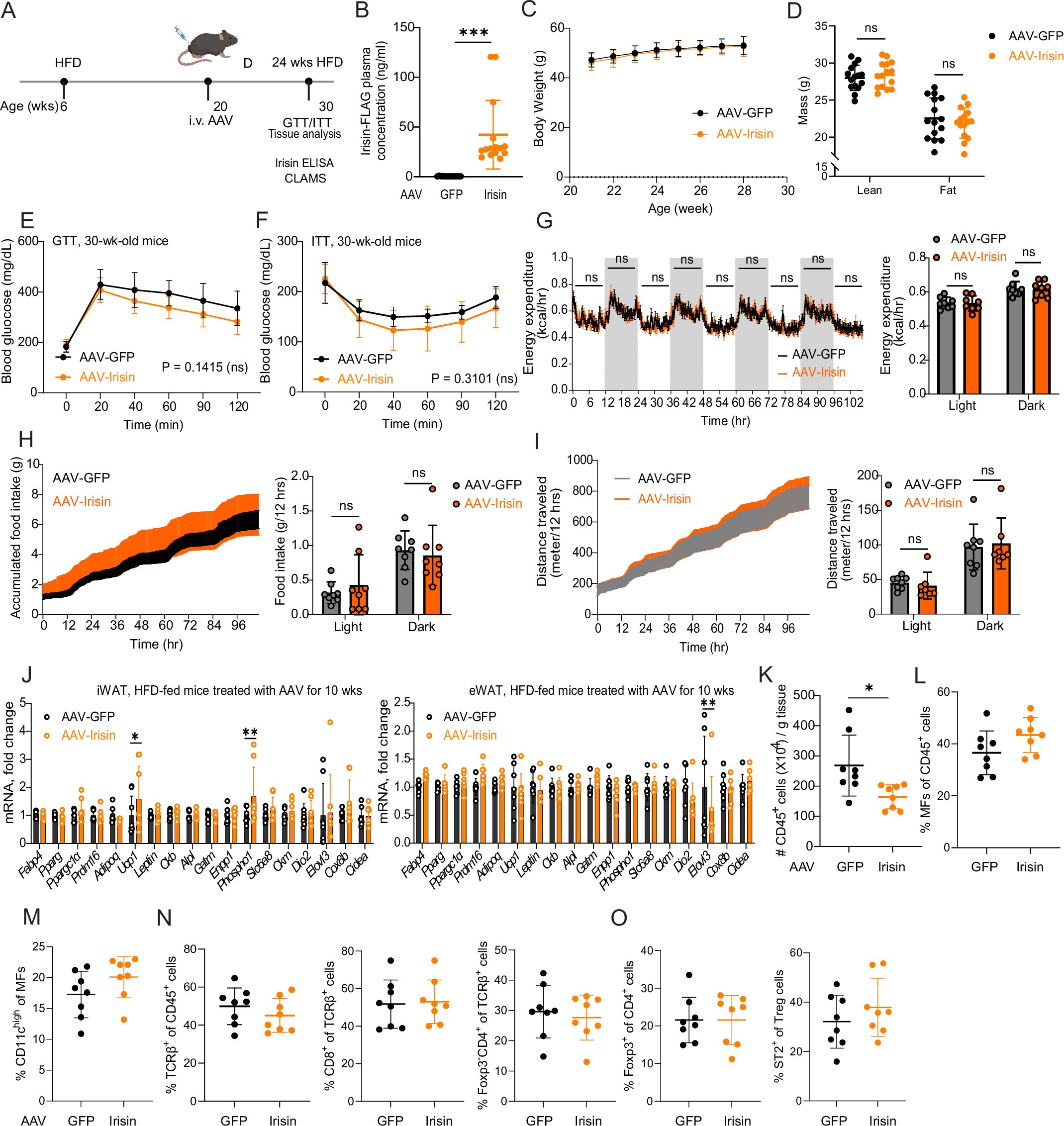 Extended Data Fig. 9: Irisin’s effects in obese mice in a therapeutic setting.