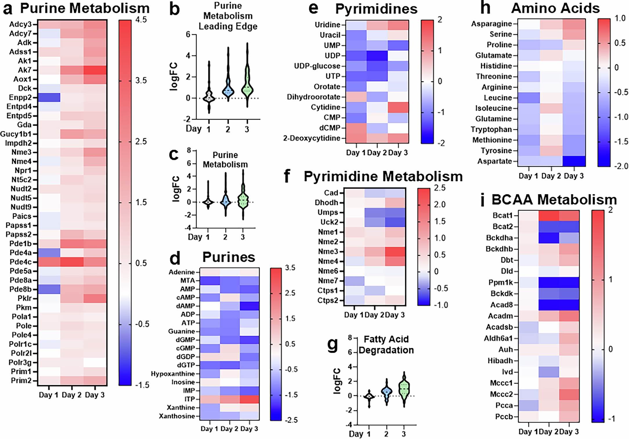 Extended Data Fig. 4: Other pathways of interest identified from RNAseq & Metabolomics.