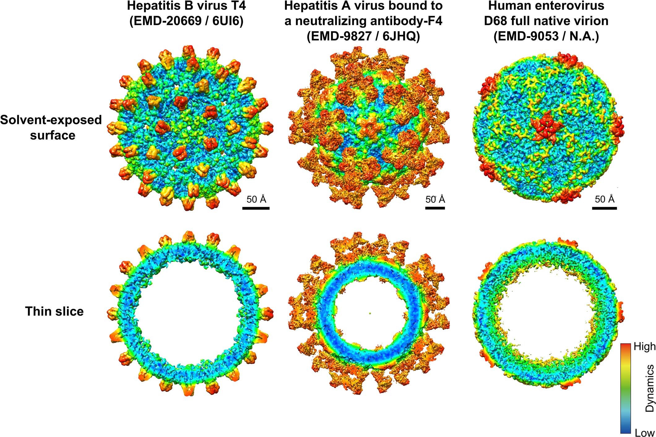 Extended Data Fig. 10