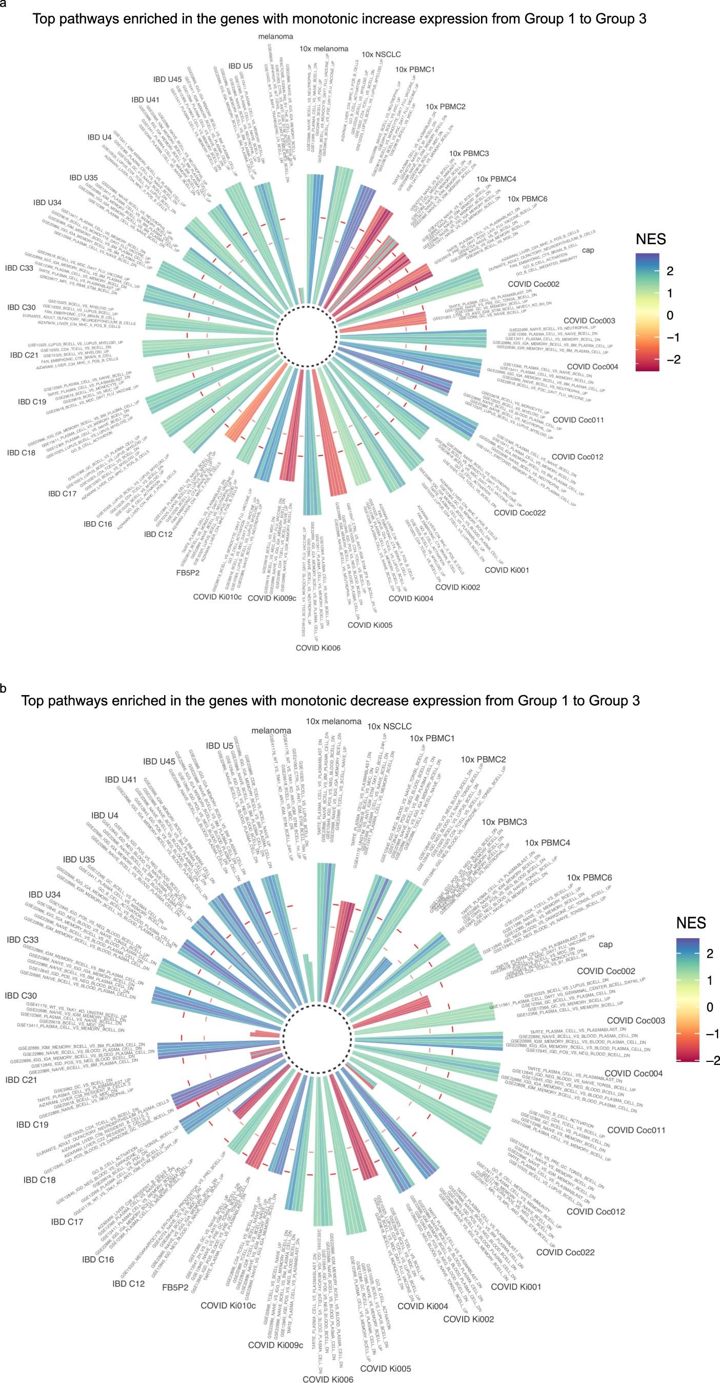 Extended Data Fig. 4: GSEA of the pathways enriched in the genes that showed a monotonic increase (a) or decrease (b) of expression from group 1 to group 3 BCR clonotypes’ B cells.