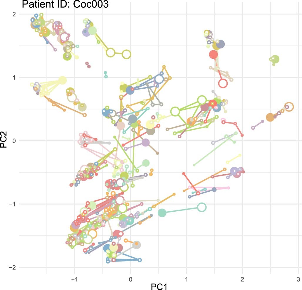 Extended Data Fig. 5: The BCR networks constructed by Benisse for patient Coc003.