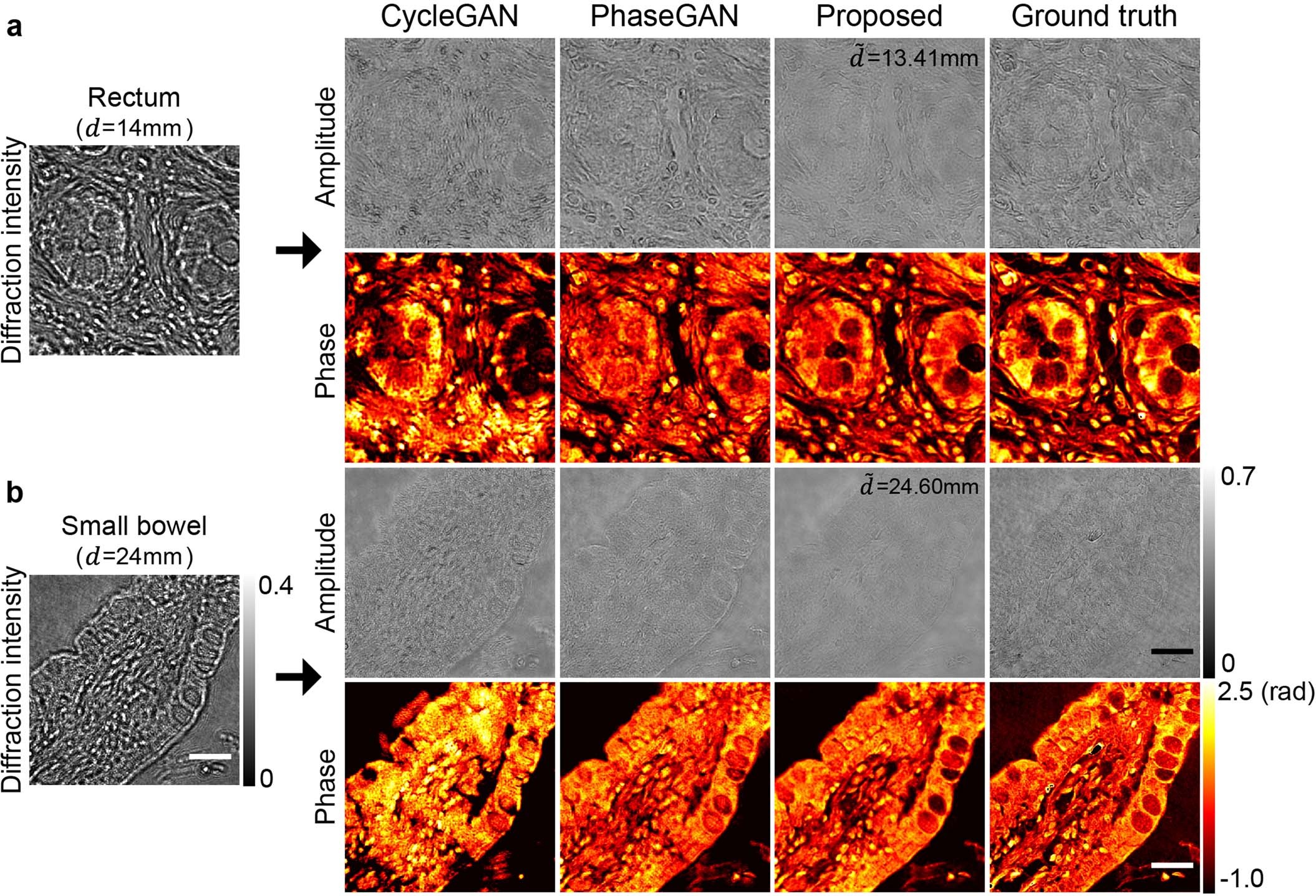 Extended Data Fig. 7
