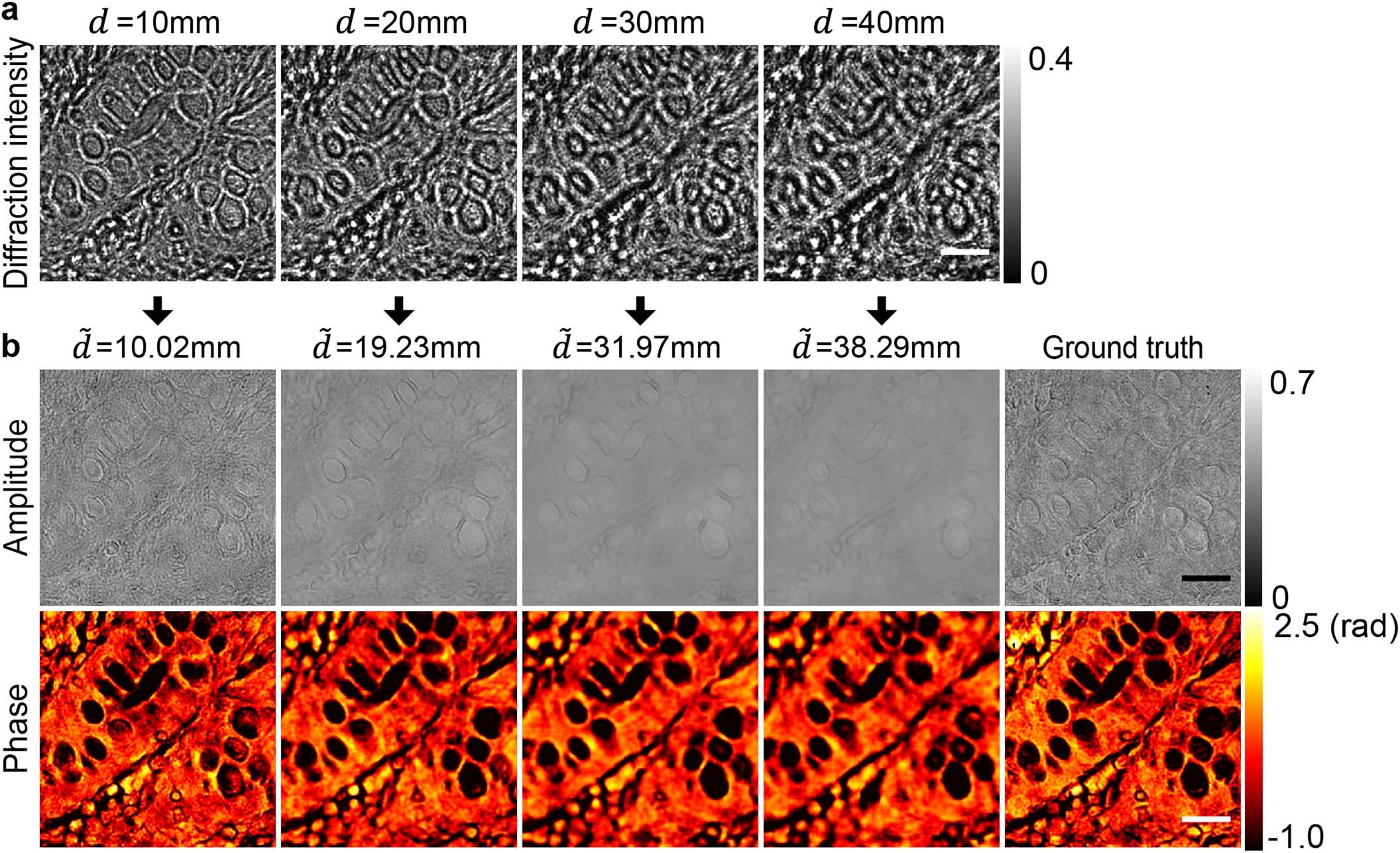 Extended Data Fig. 9
