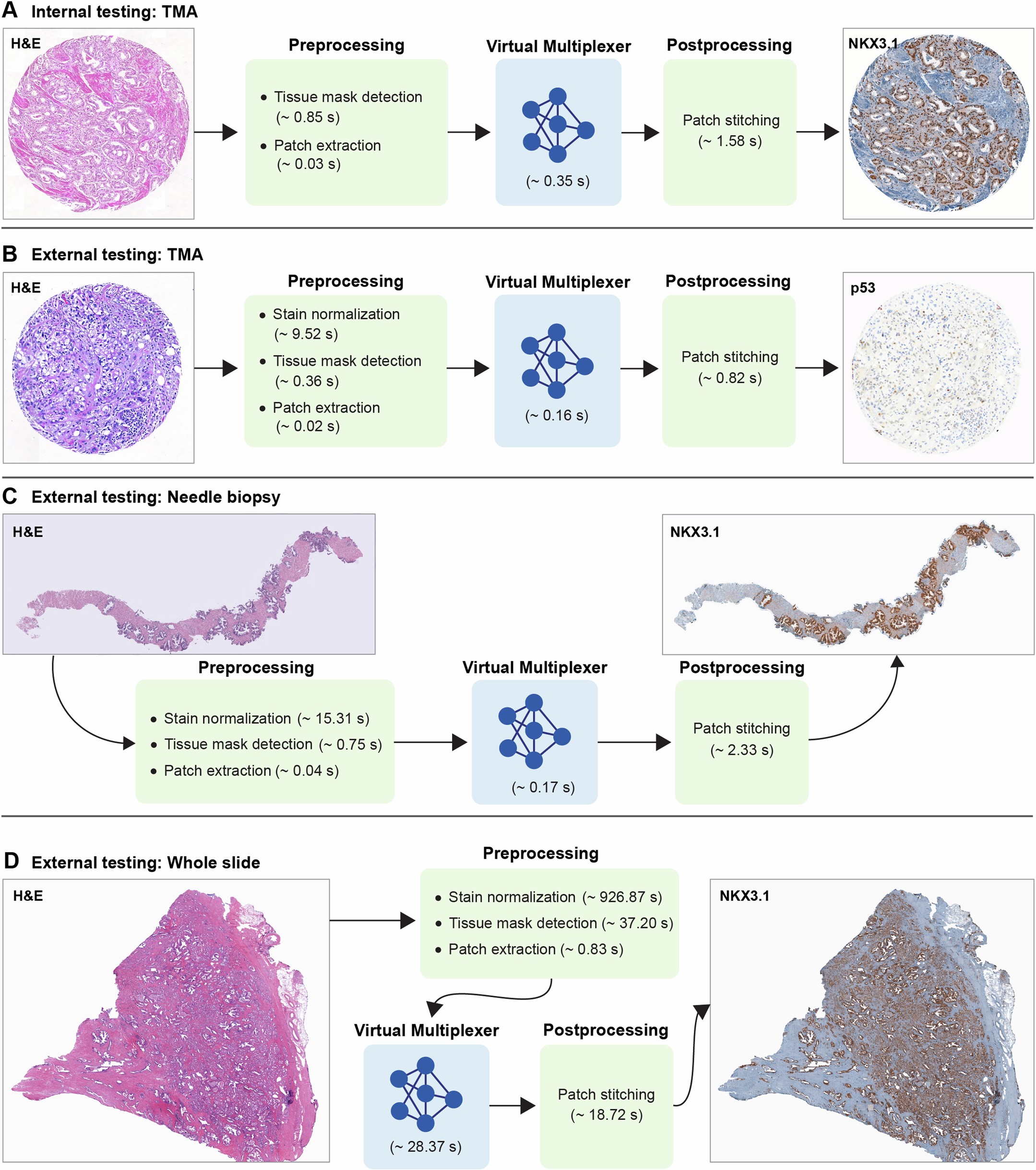 Extended Data Fig. 10: The VirtualMultiplexer can greatly accelerate histopathology workflows.