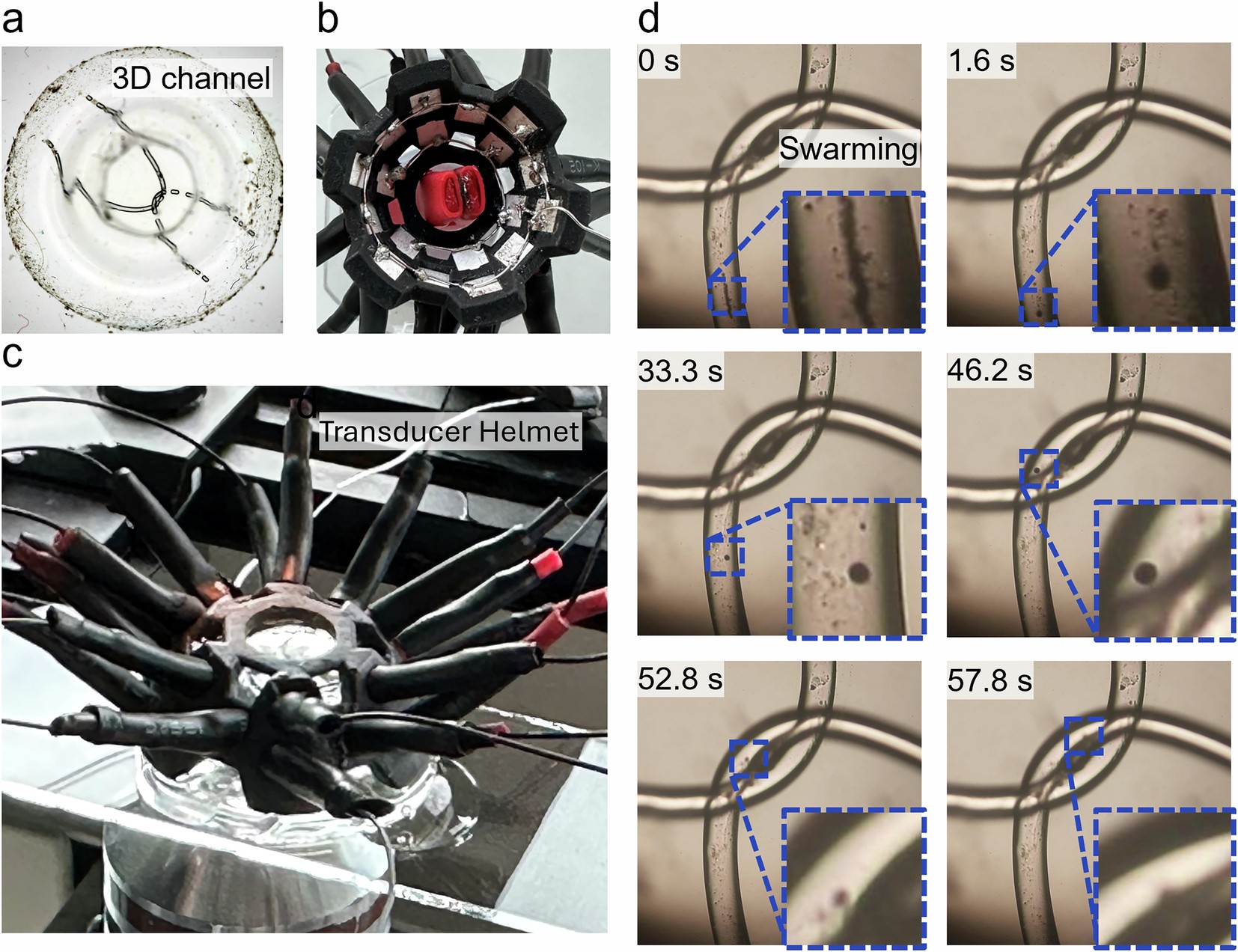 Extended Data Fig. 4