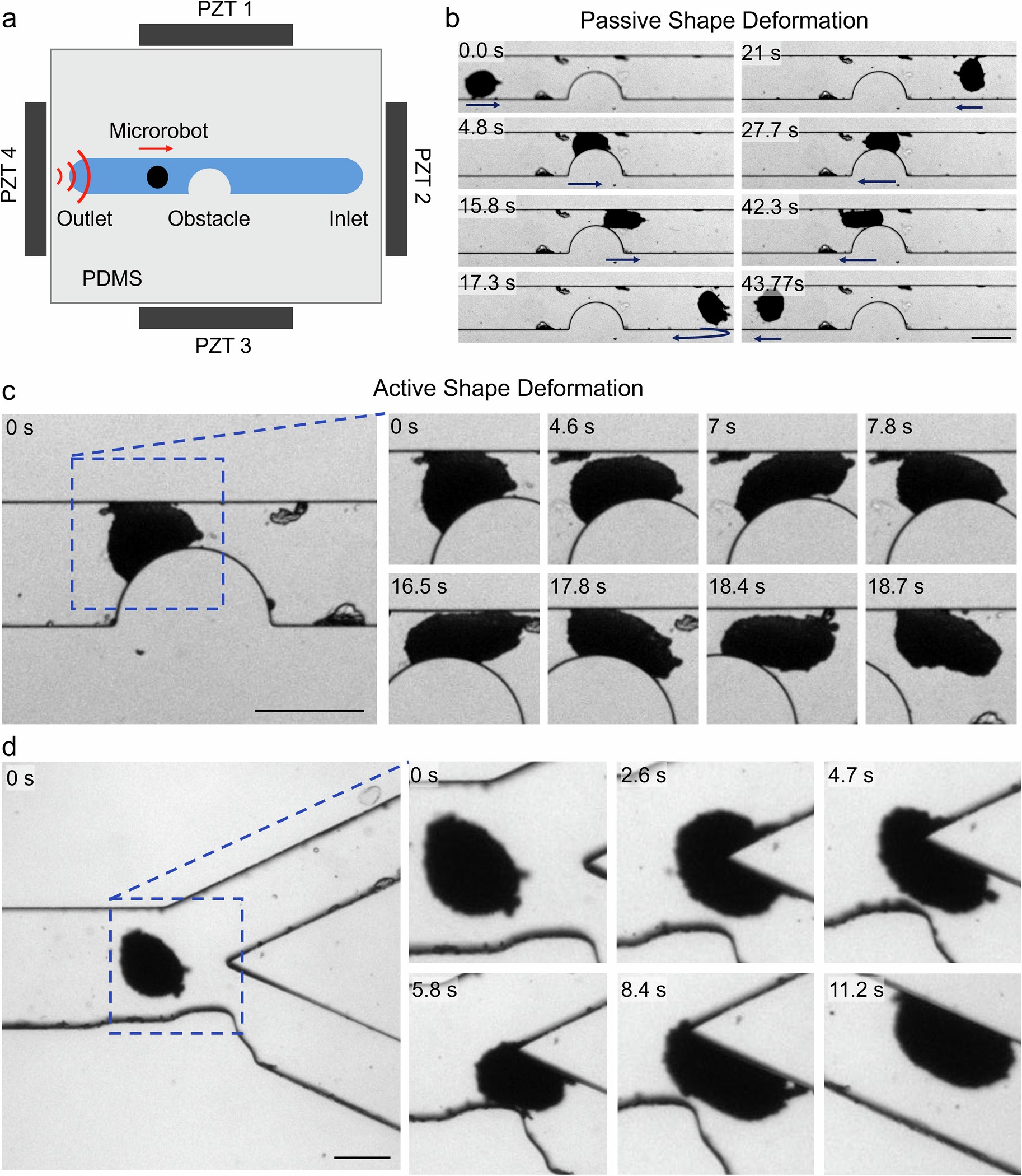 Extended Data Fig. 3