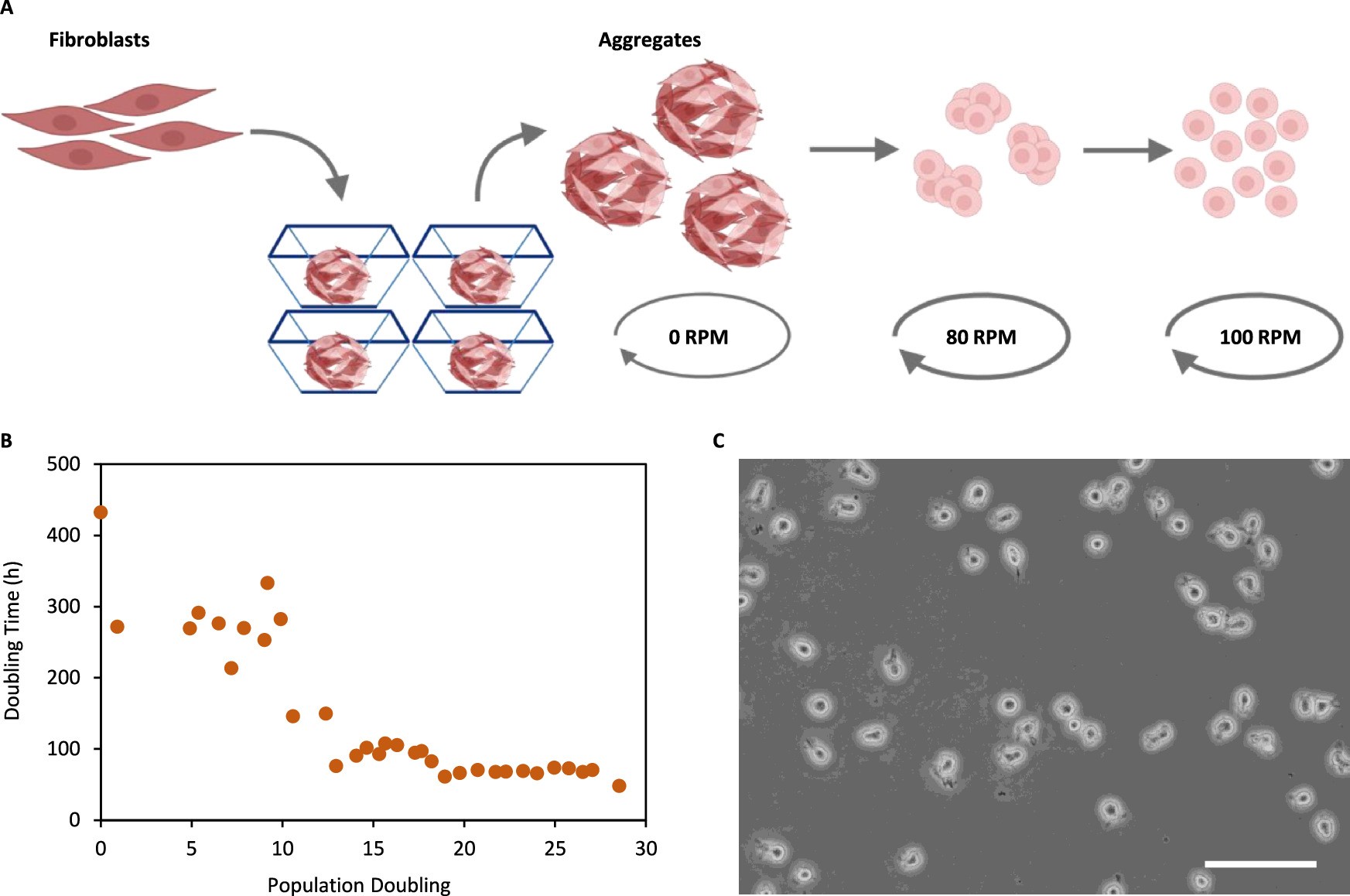 Extended Data Fig. 6