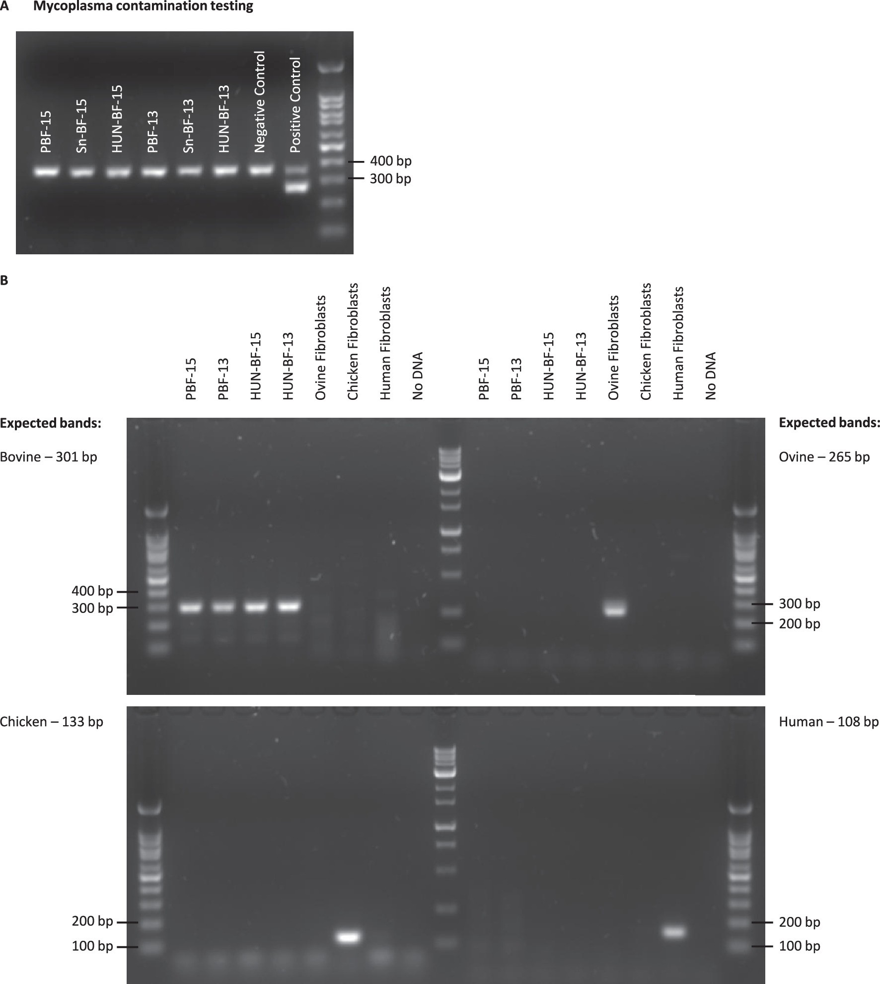Extended Data Fig. 7