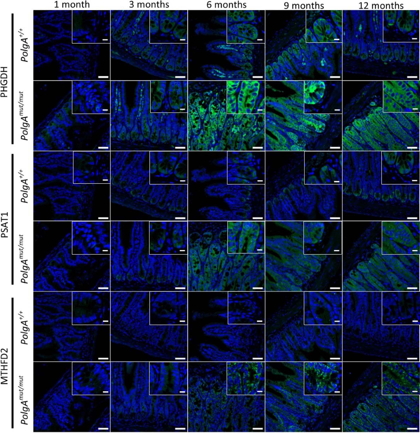 Extended Data Fig. 5