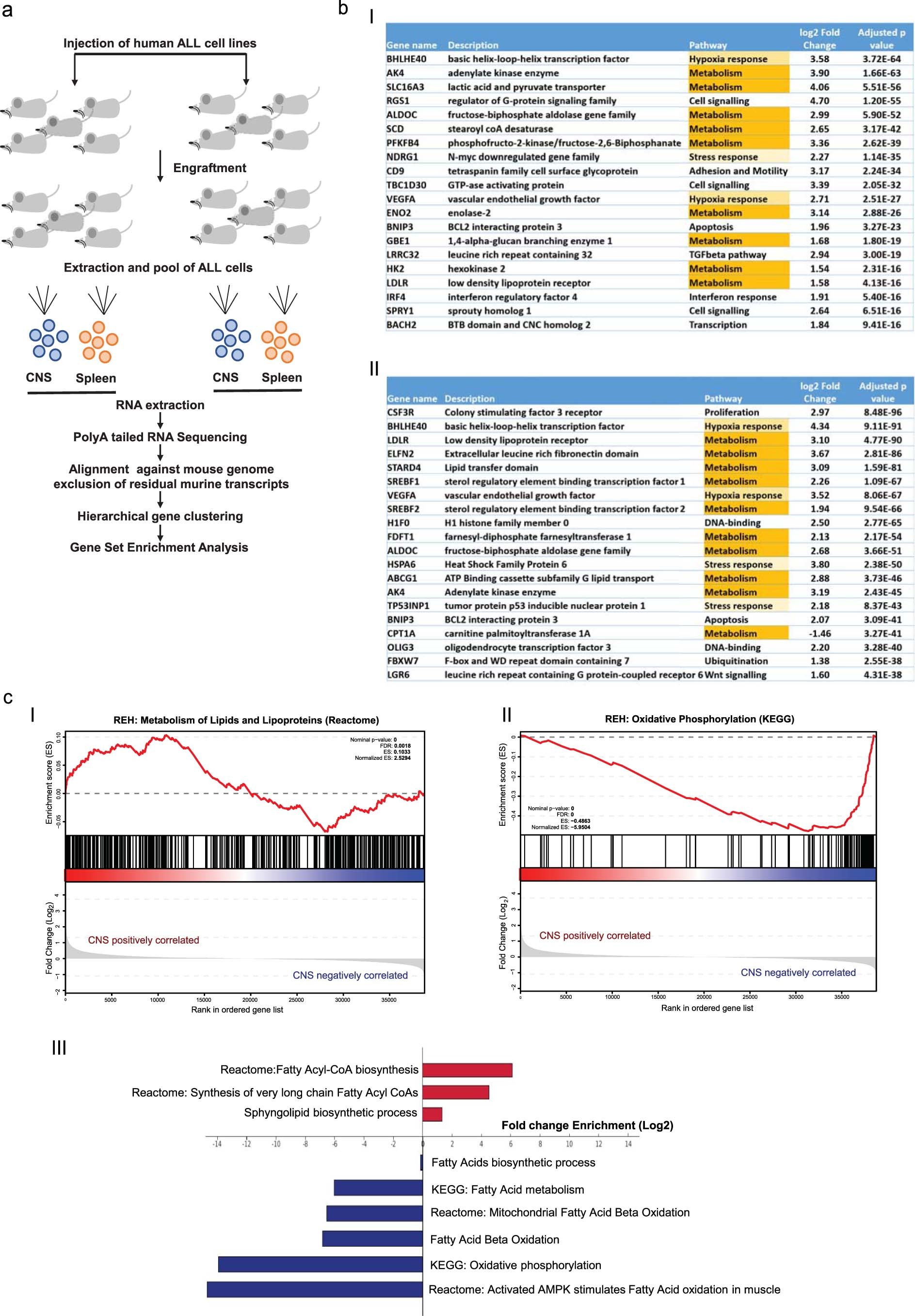 Extended Data Fig. 2