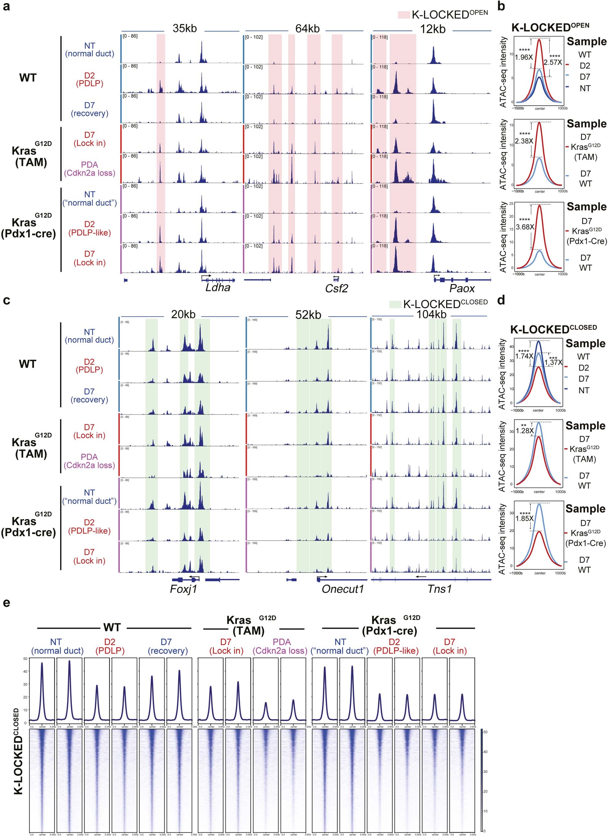Extended Data Fig. 5