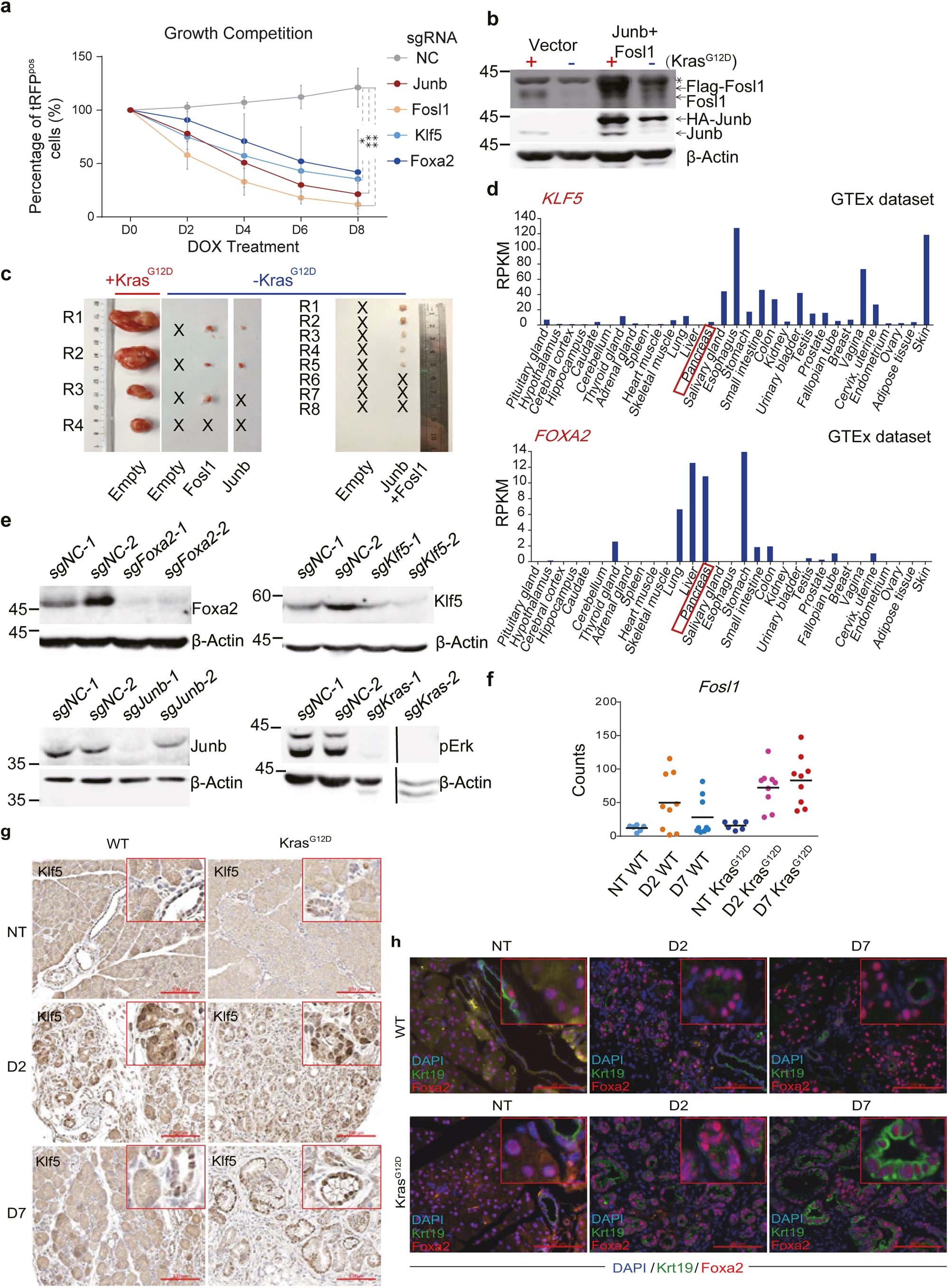 Extended Data Fig. 8