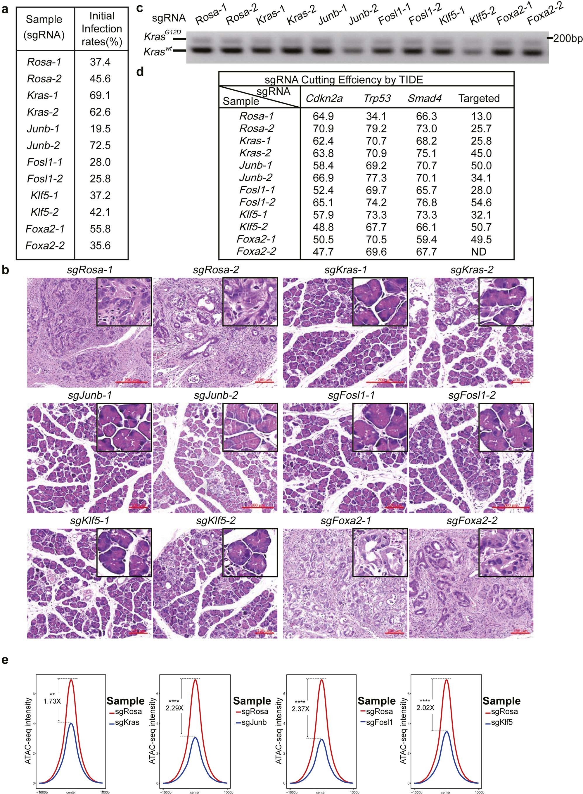 Extended Data Fig. 9