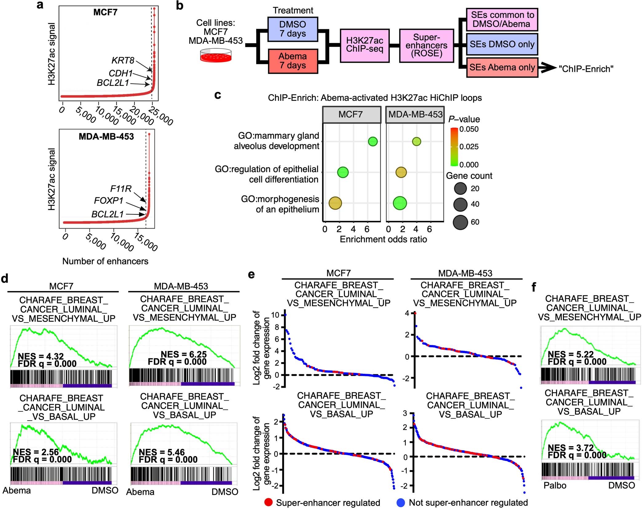 Extended Data Fig. 2: Characterization of CDK4/6 inhibitor-activated super-enhancers in breast cancer cell lines.