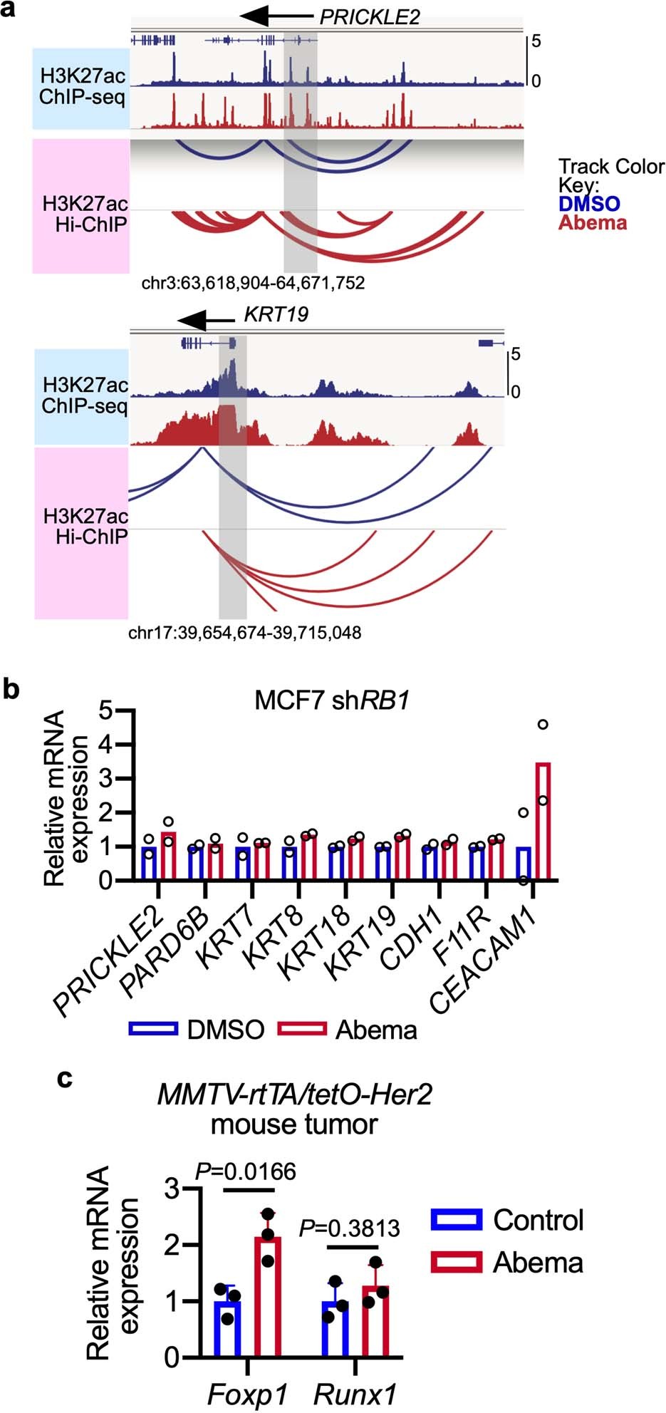 Extended Data Fig. 3: Enhanced expression of luminal differentiation-related genes is associated with increased H3K27 acetylation at nearby super-enhancers.
