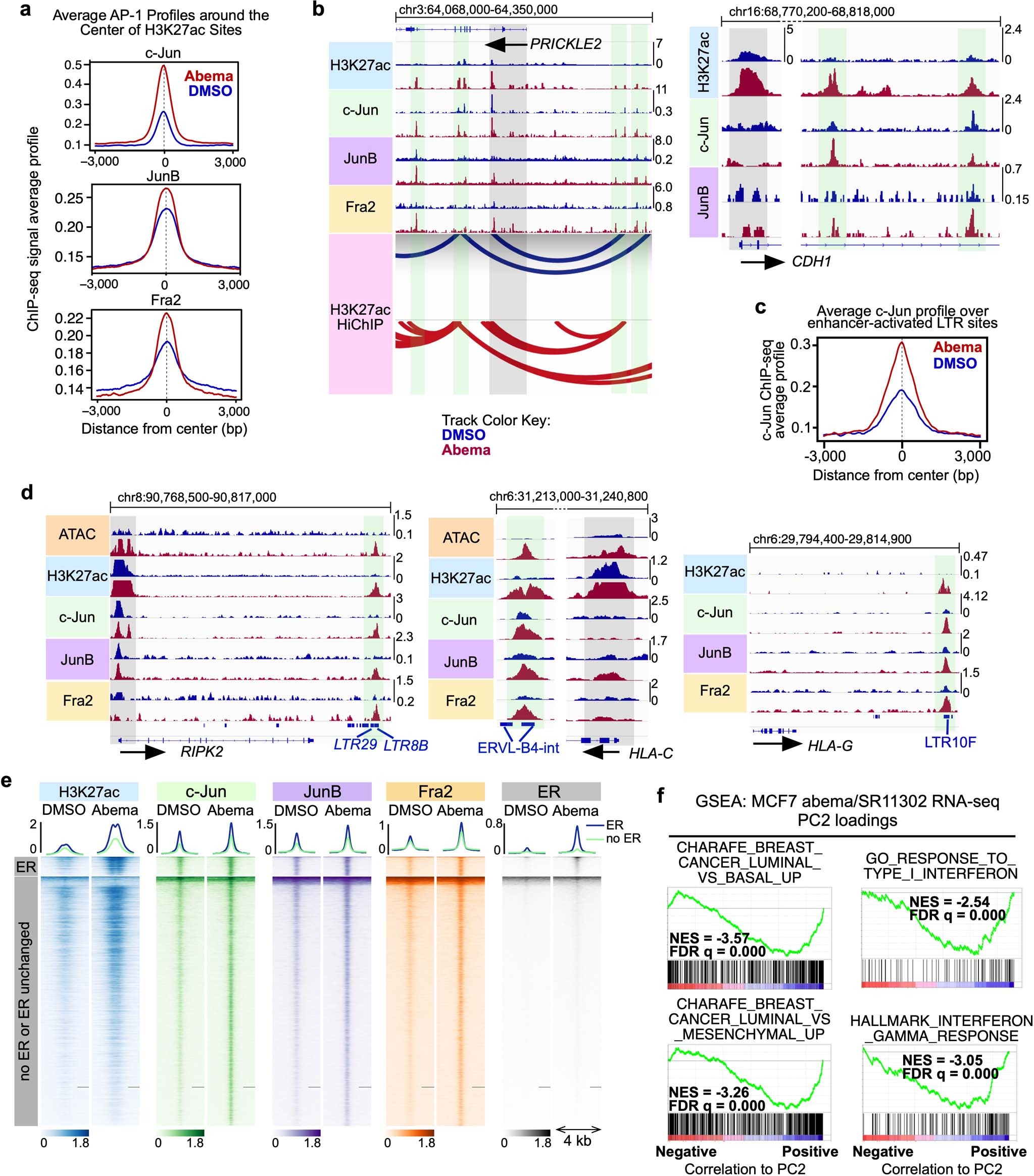 Extended Data Fig. 8: AP-1 binding increases at CDK4/6 inhibitor-induced enhancers and drives transcriptional activity that can be reversed by an AP-1 inhibitor.