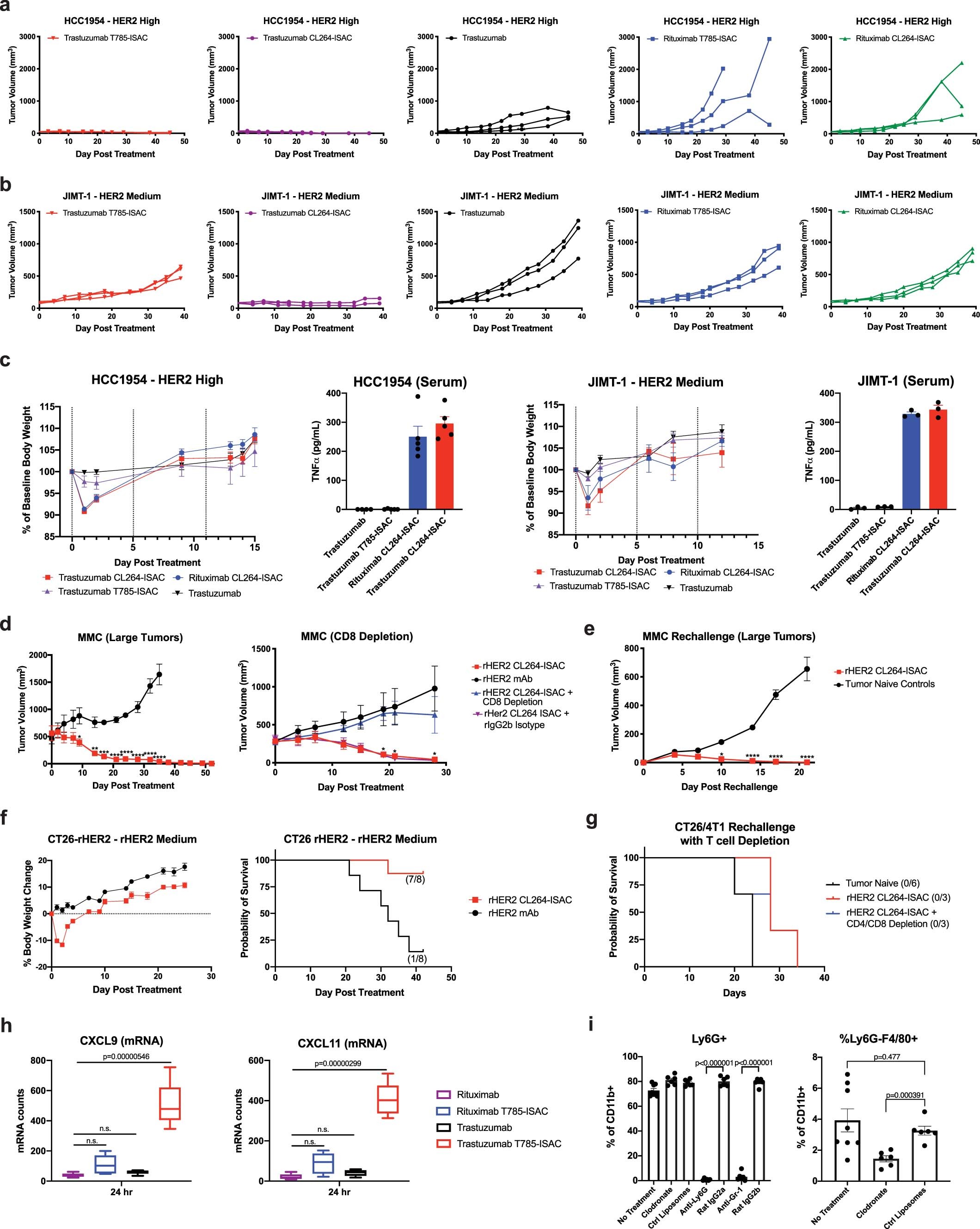 Extended Data Fig. 10: Growth kinetics, tolerability and myeloid activation in mouse tumor models treated with ISACs.