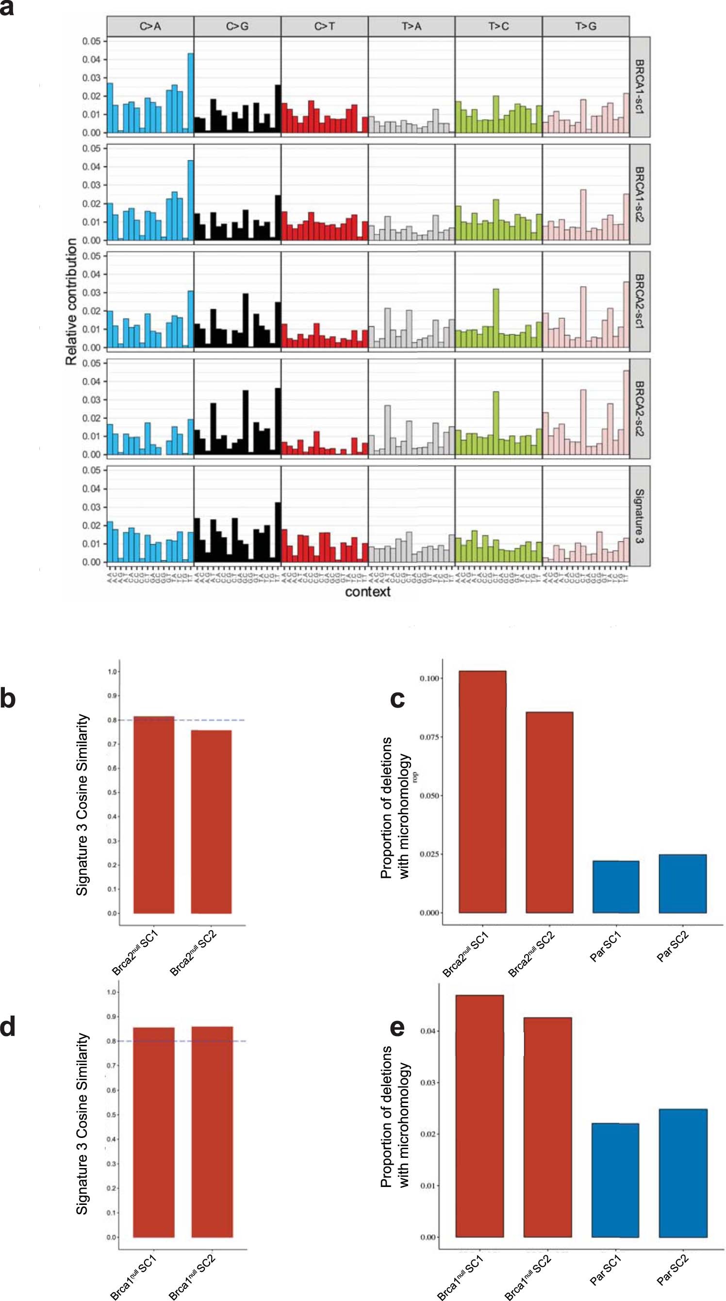 Extended Data Fig. 3: Characterization of the genomic alternation in 4T1 Brca2null clones.