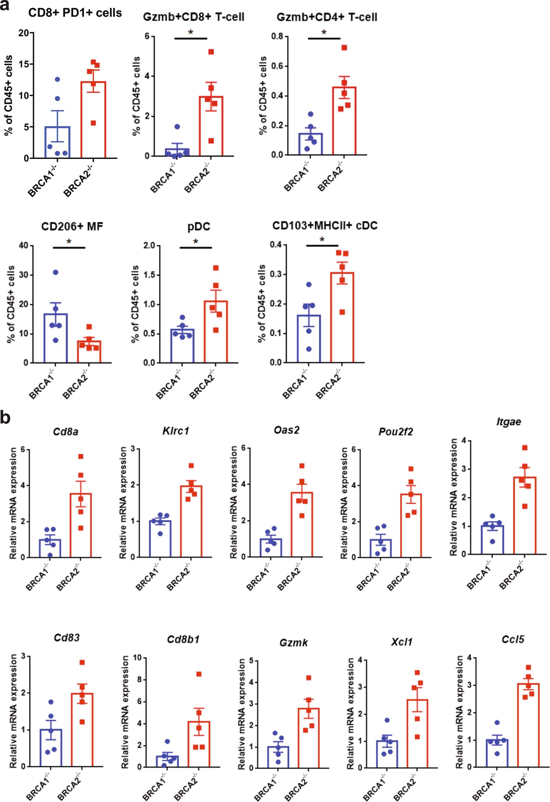 Extended Data Fig. 9: Experimental validation of sc-RNA-seq and bulk RNA-seq results on untreated 4T1 Brca1null and Brca2null tumors.