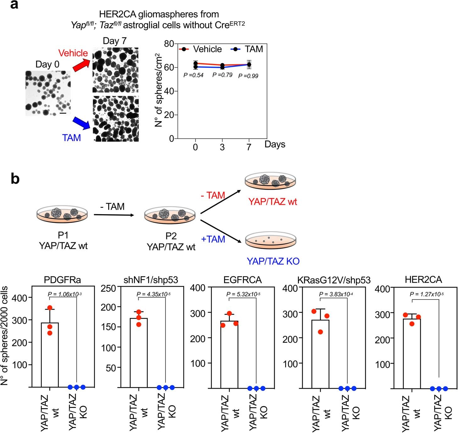 Extended Data Fig. 9