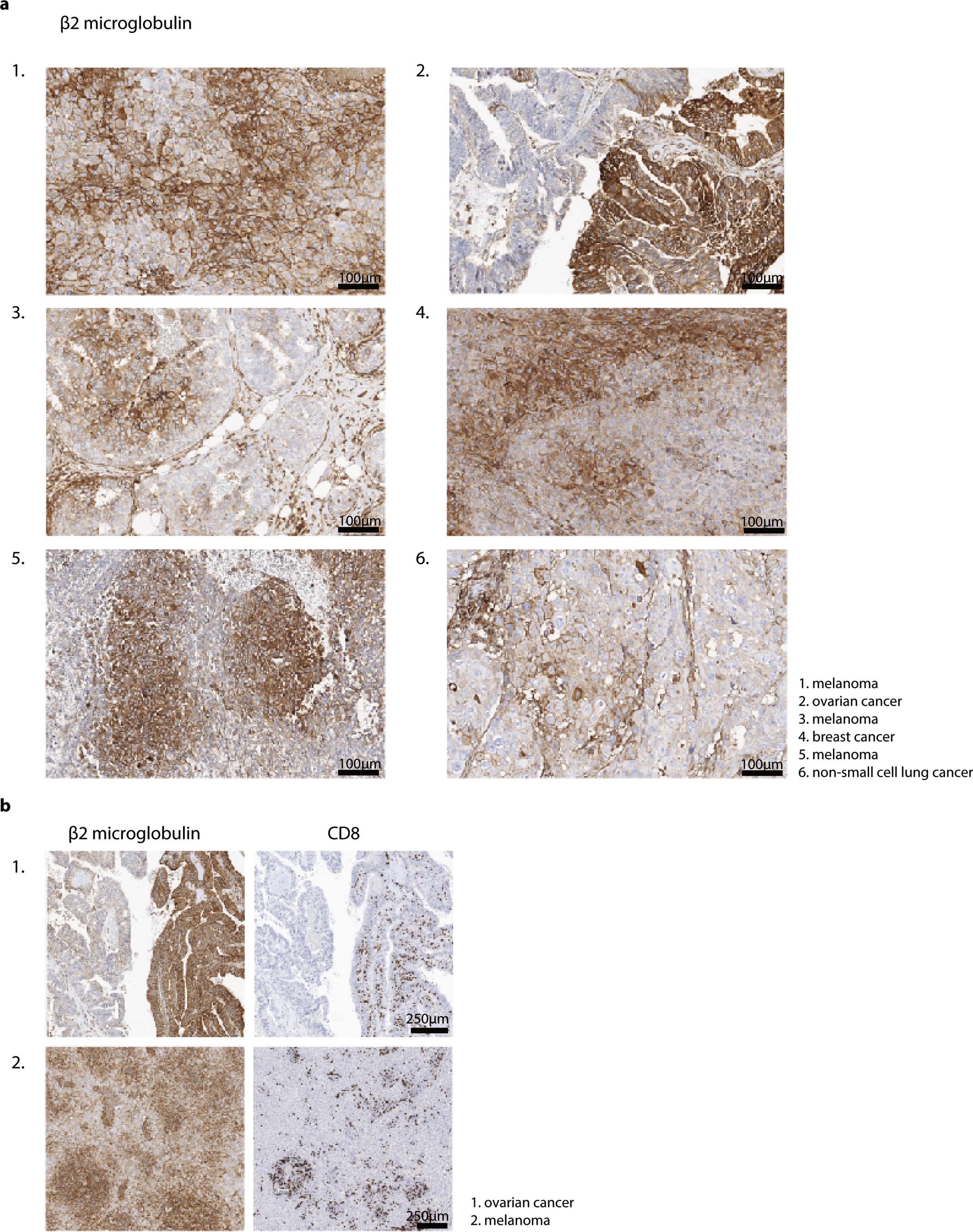 Extended Data Fig. 7
