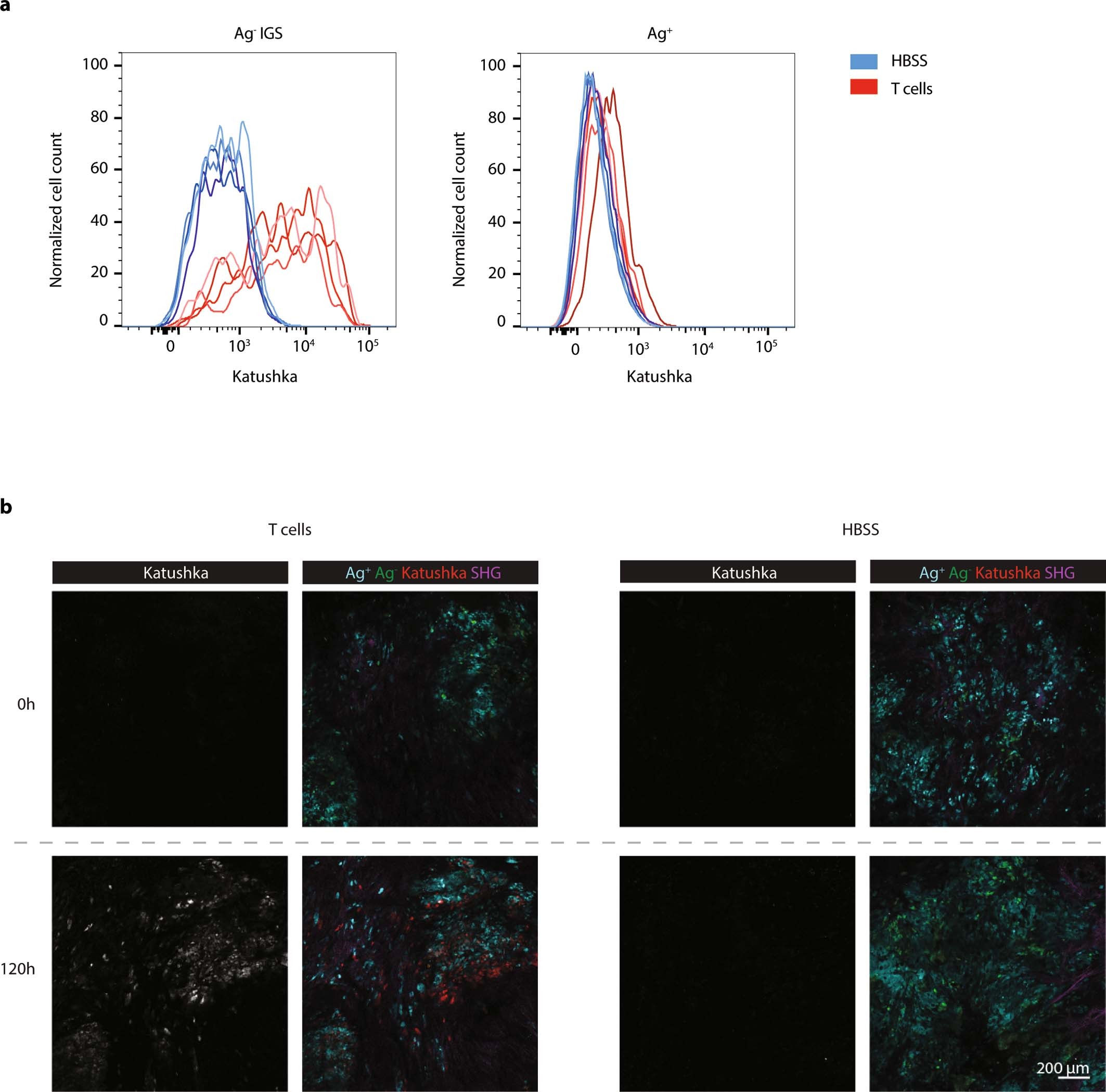 Extended Data Fig. 4