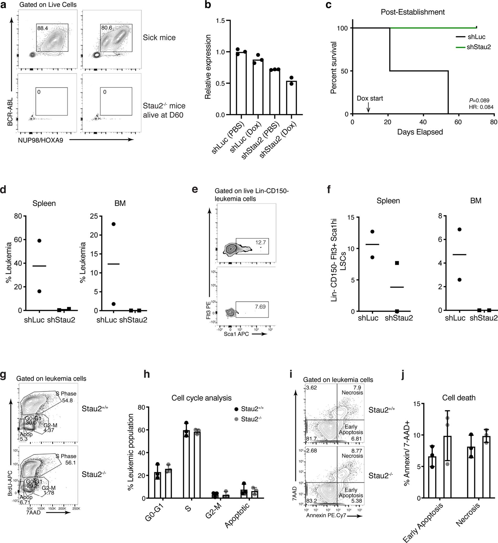 Extended Data Fig. 4: Role of Stau2 in bcCML progression.
