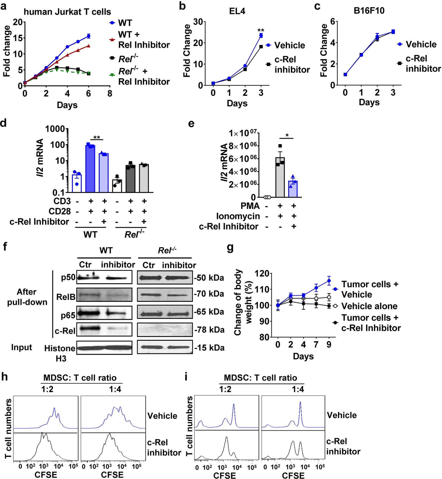 Extended Data Fig. 6