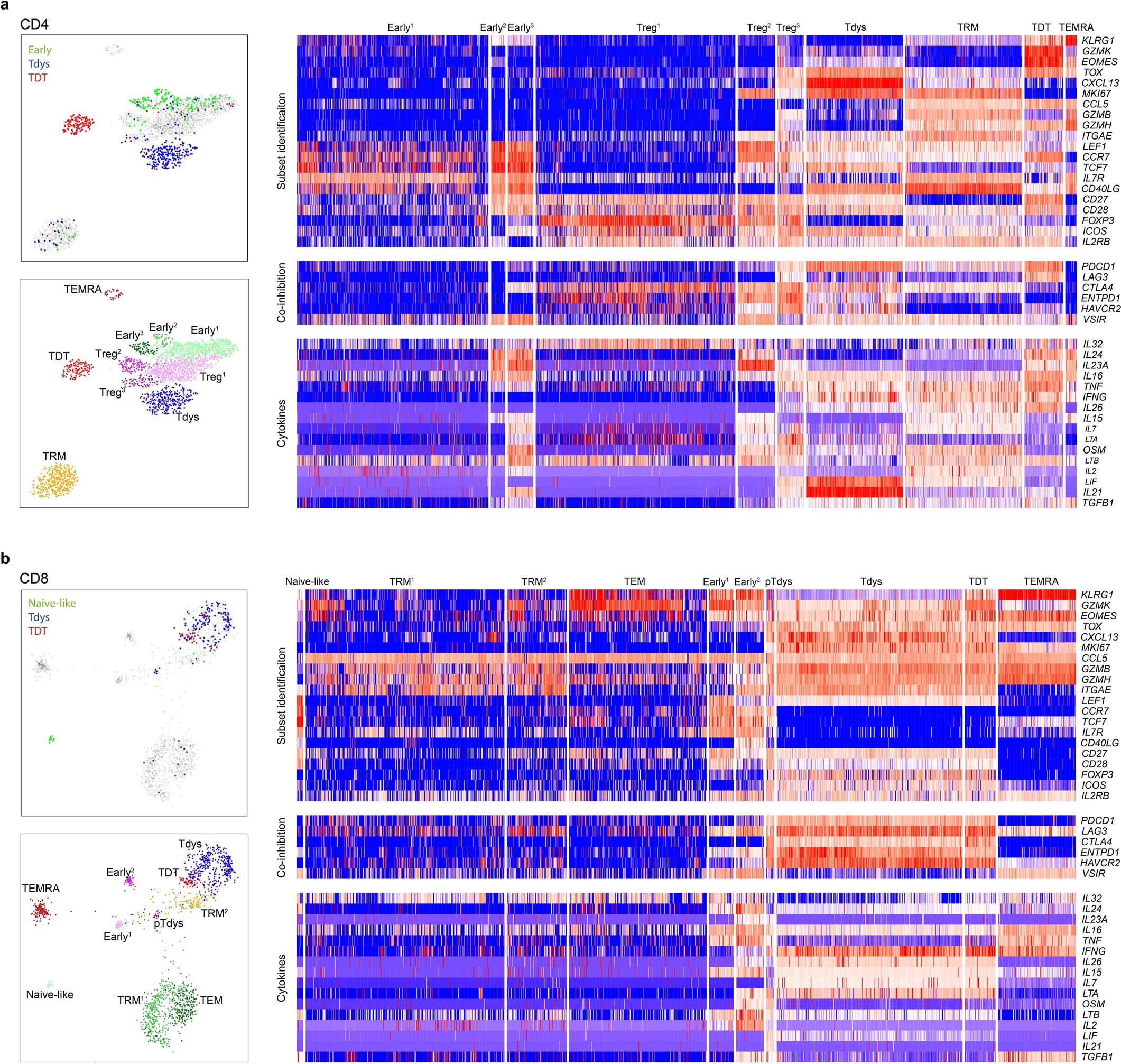Extended Data Fig. 9: Single T cell RNAseq cluster analysis.