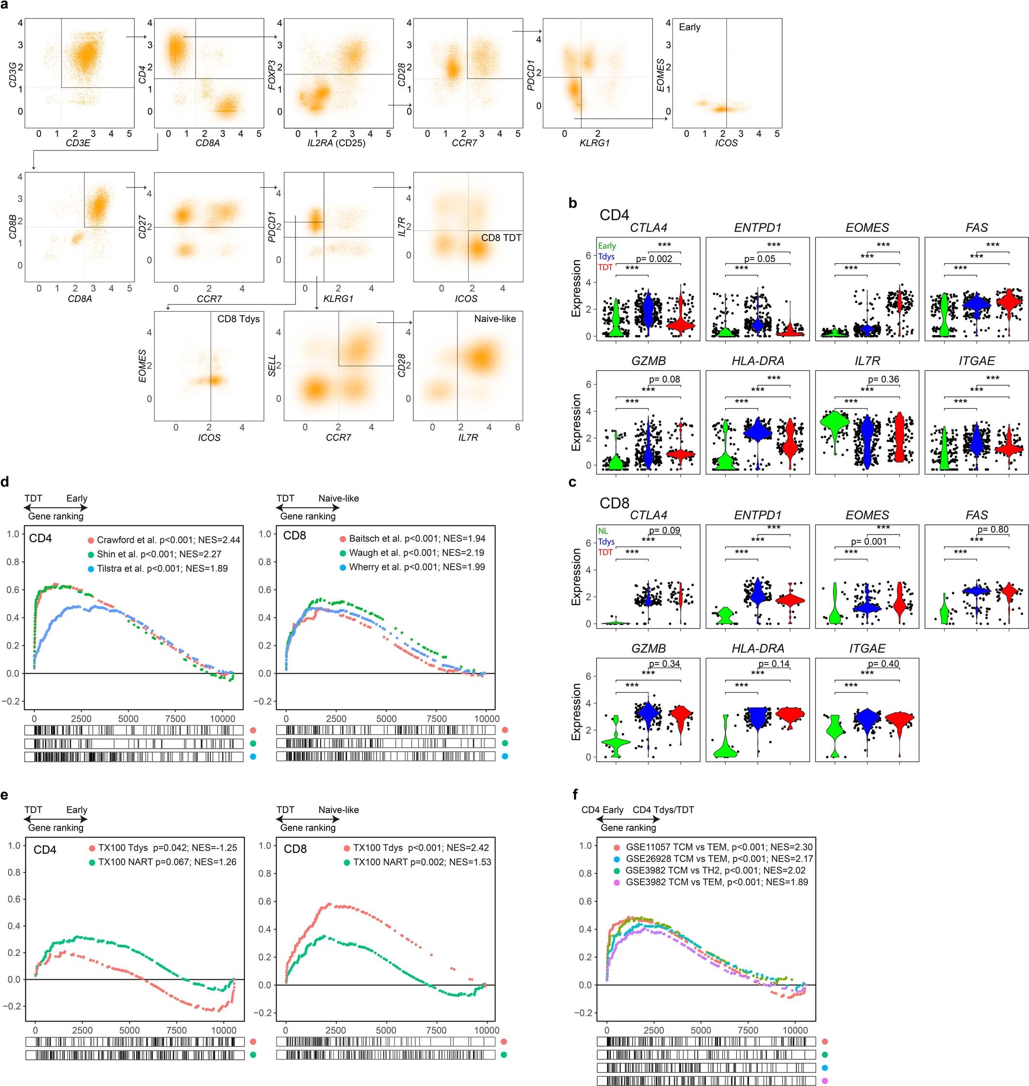 Extended Data Fig. 3: Identification and single cell transcriptomic characterization of progenitor-like and dysfunctional T cell subsets.
