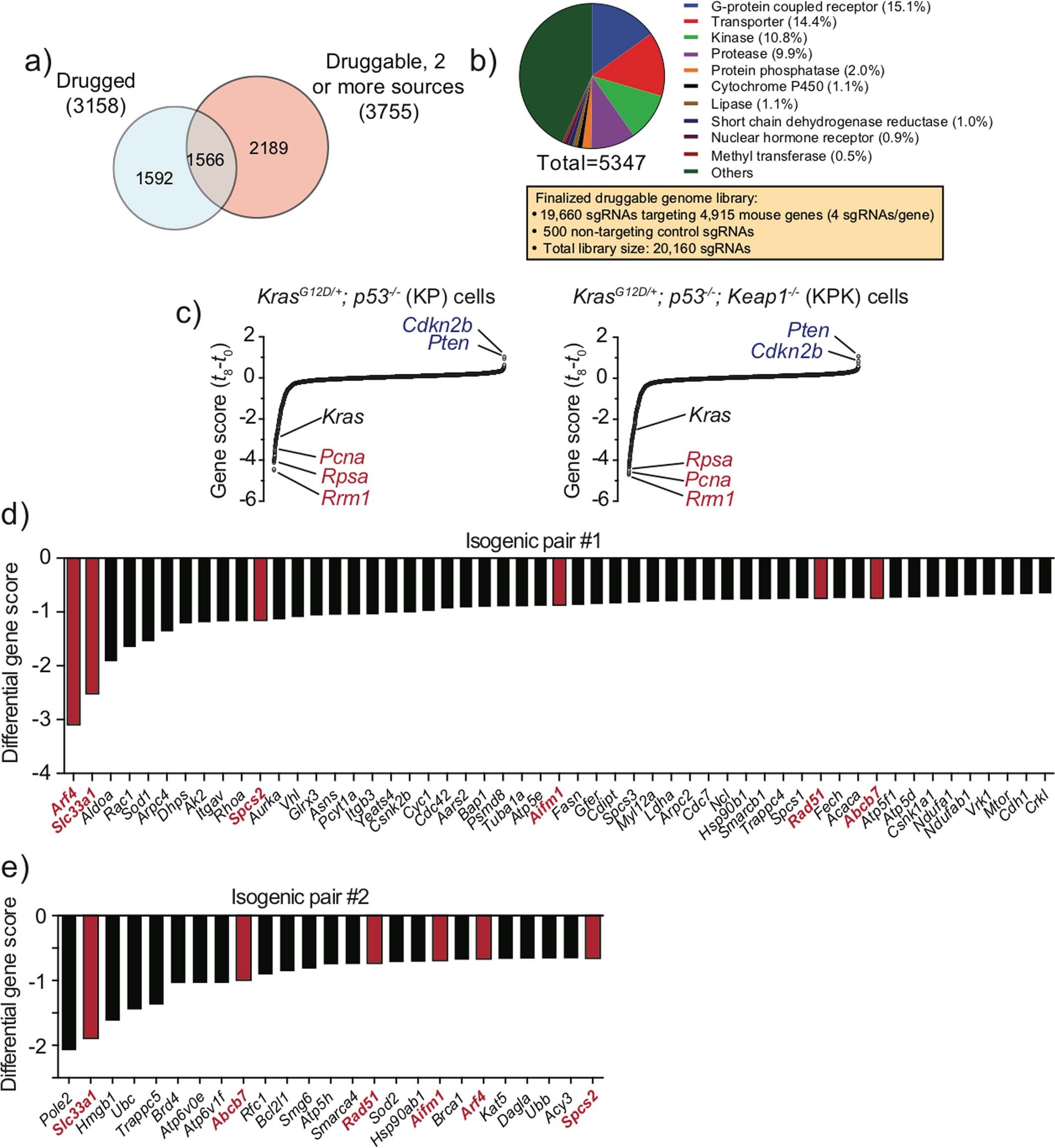 Extended Data Fig. 1: CRISPR screening platform identifies genotype-specific vulnerabilities in Keap1-mutant LUAD cell lines.