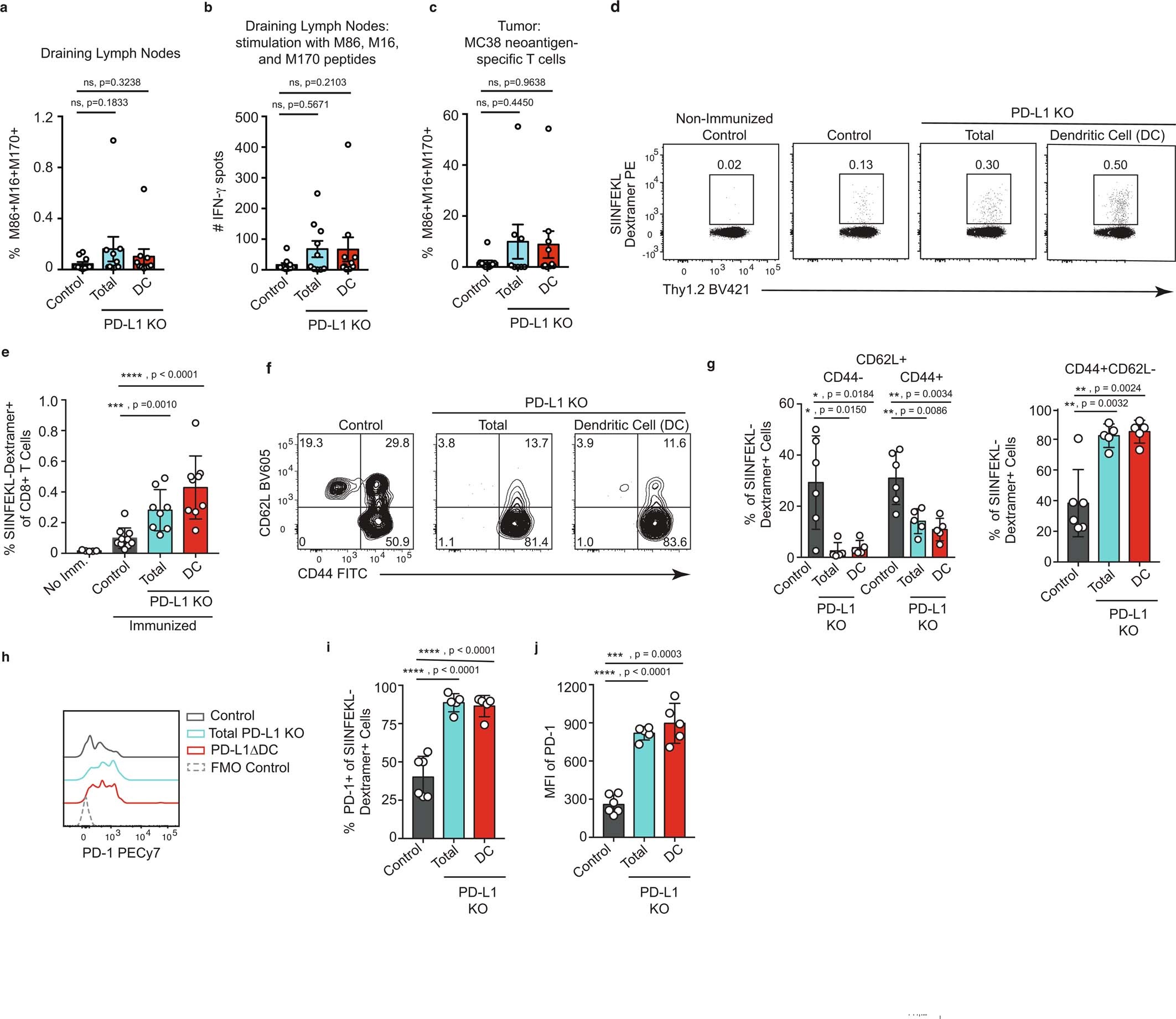 Extended Data Fig. 9: Dendritic cell-specific loss of PD-L1 results in enhanced T cell activation.