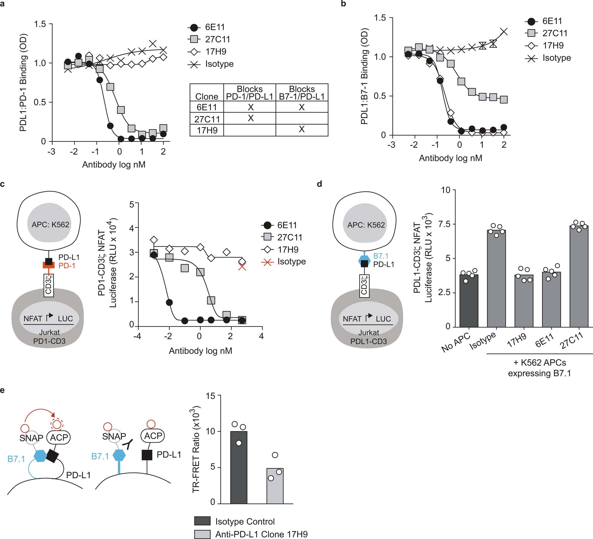 Extended Data Fig. 2: Development of domain-specific PD-L1 antibodies.