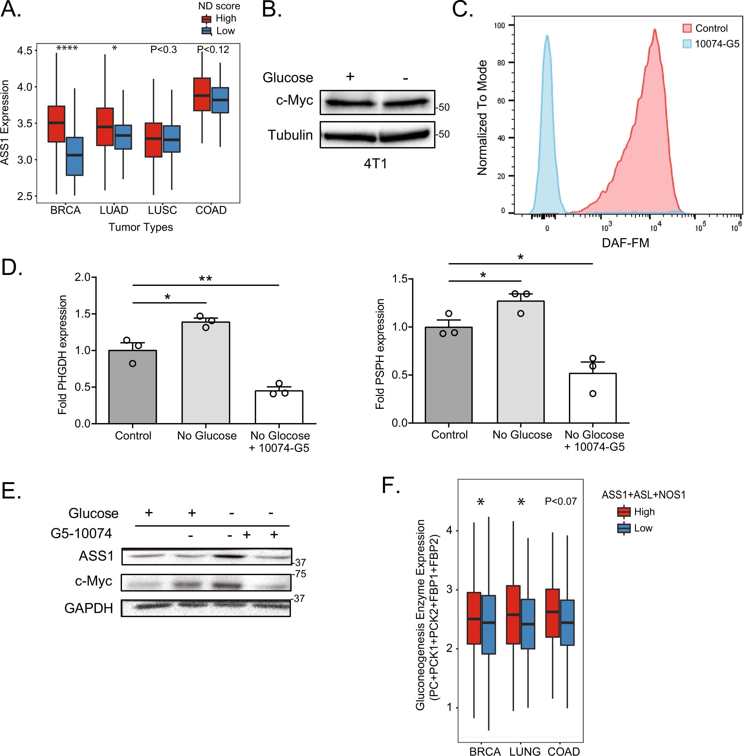 Extended Data Fig. 4: ASS1 expression in cancer is part of the transcriptional signature activated by c-Myc in response to nutrient deficiency.