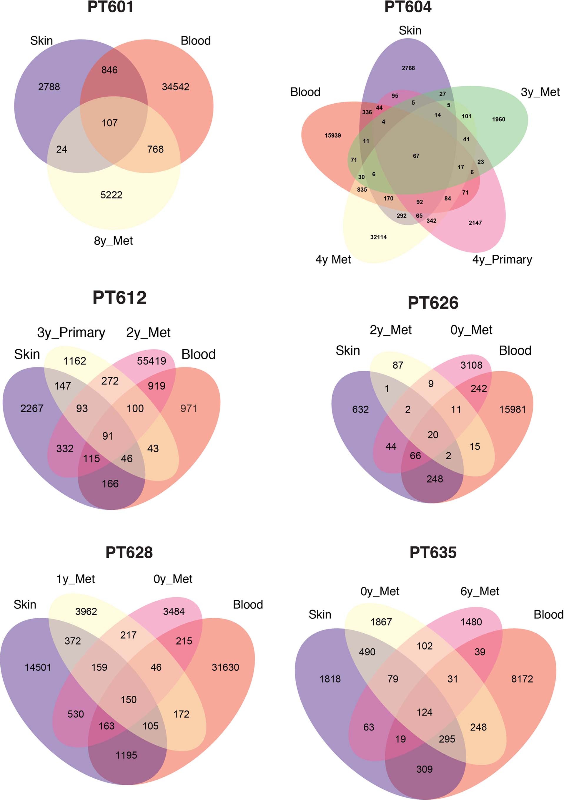 Extended Data Fig. 8: Tumor-associated clonotypes in the skin and blood of patients.