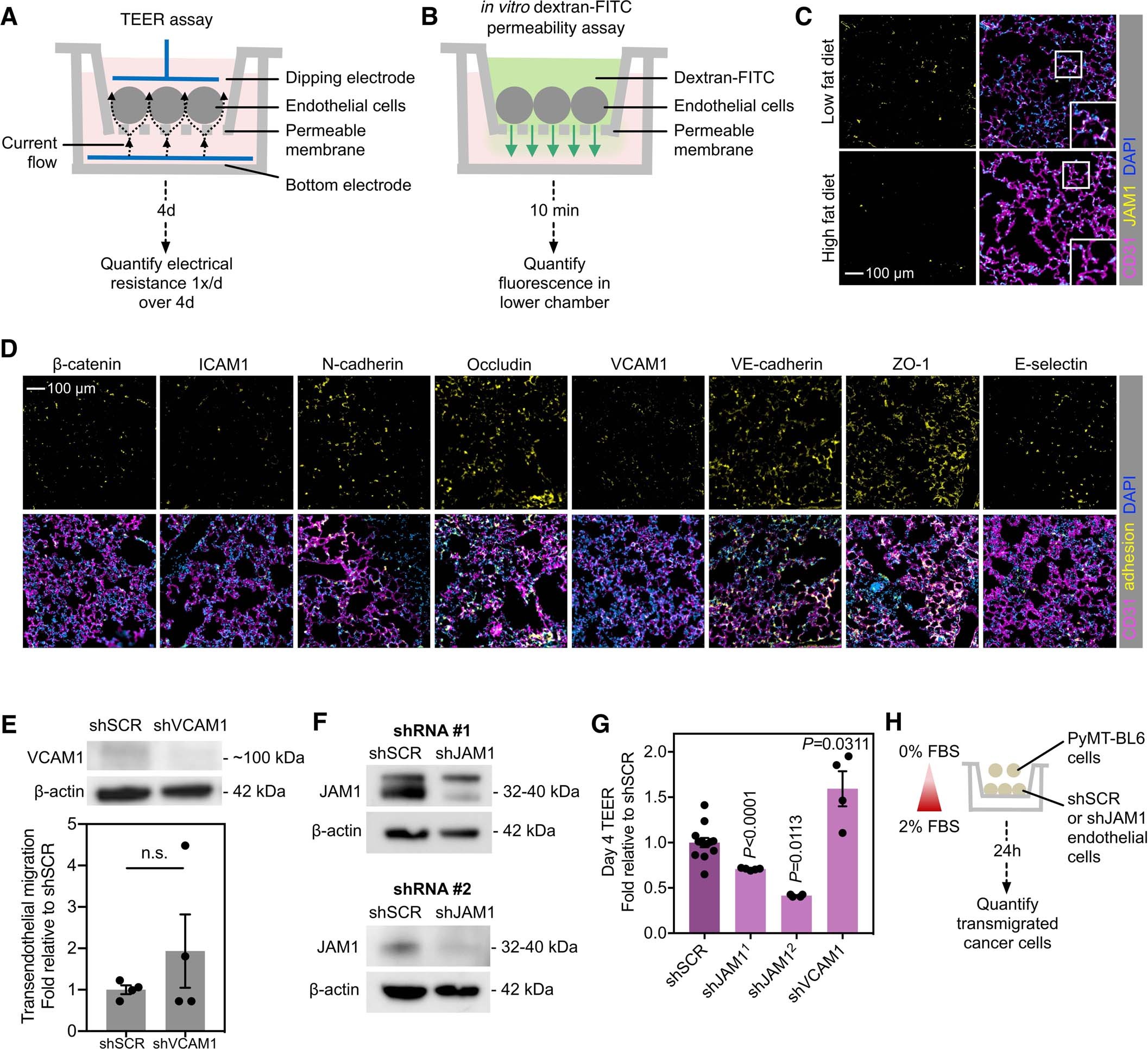 Extended Data Fig. 2