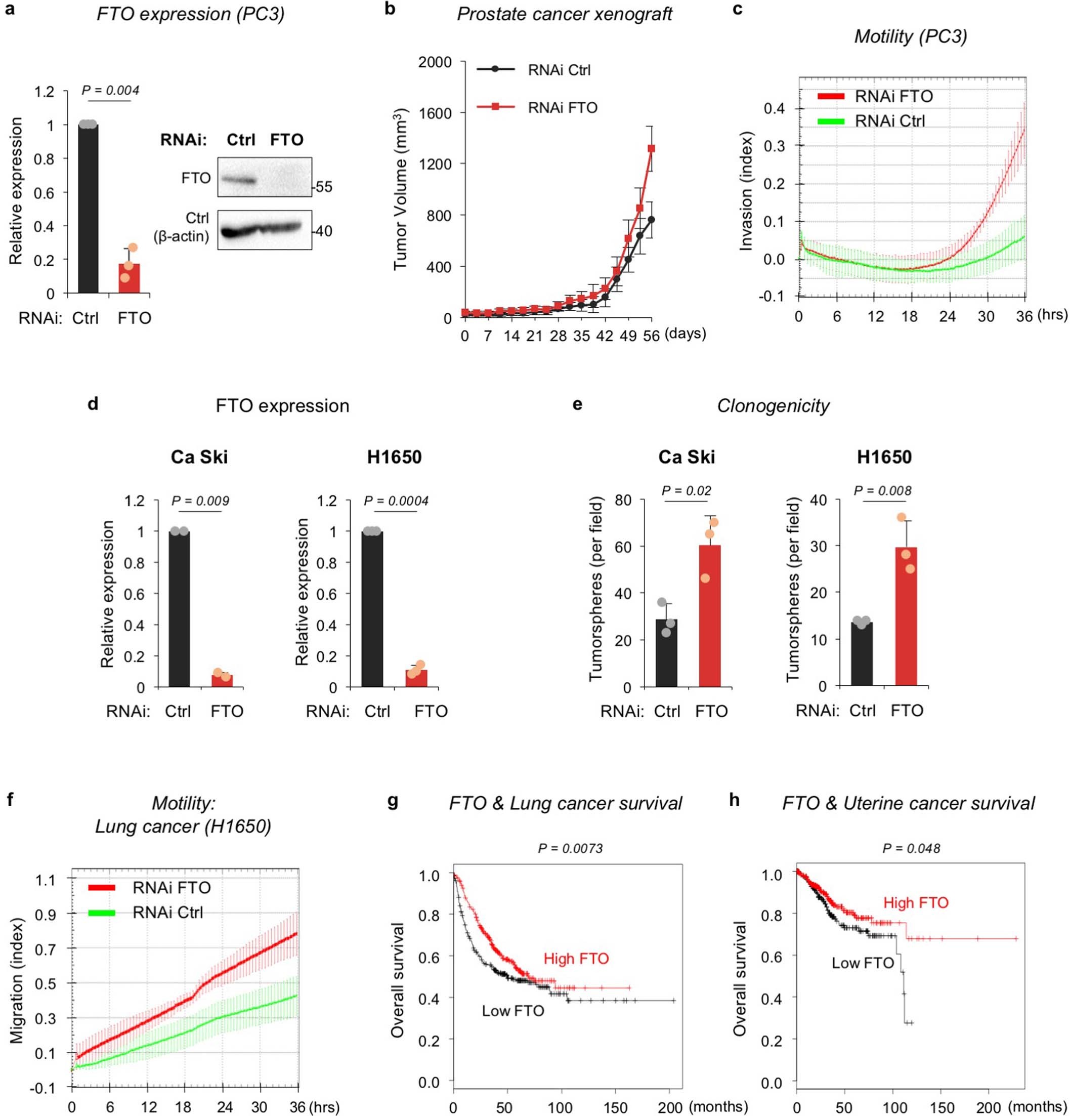 Extended Data Fig. 3: FTO depletion in prostate, cervical and lung cancers.
