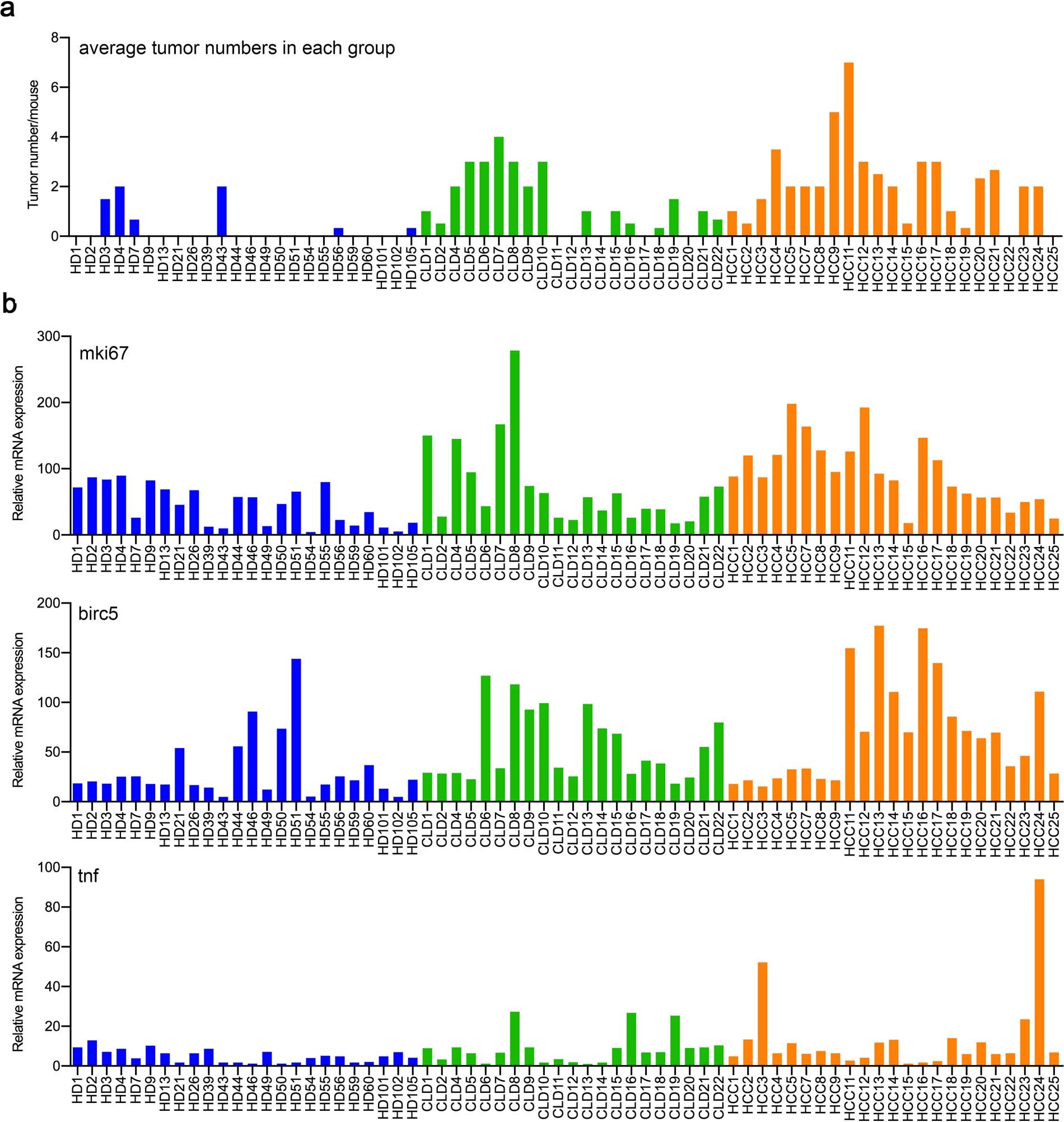 Extended Data Fig. 3: The number of liver tumors and gene expression in the liver of in individual mouse that received fecal transplantation from the human subjects.