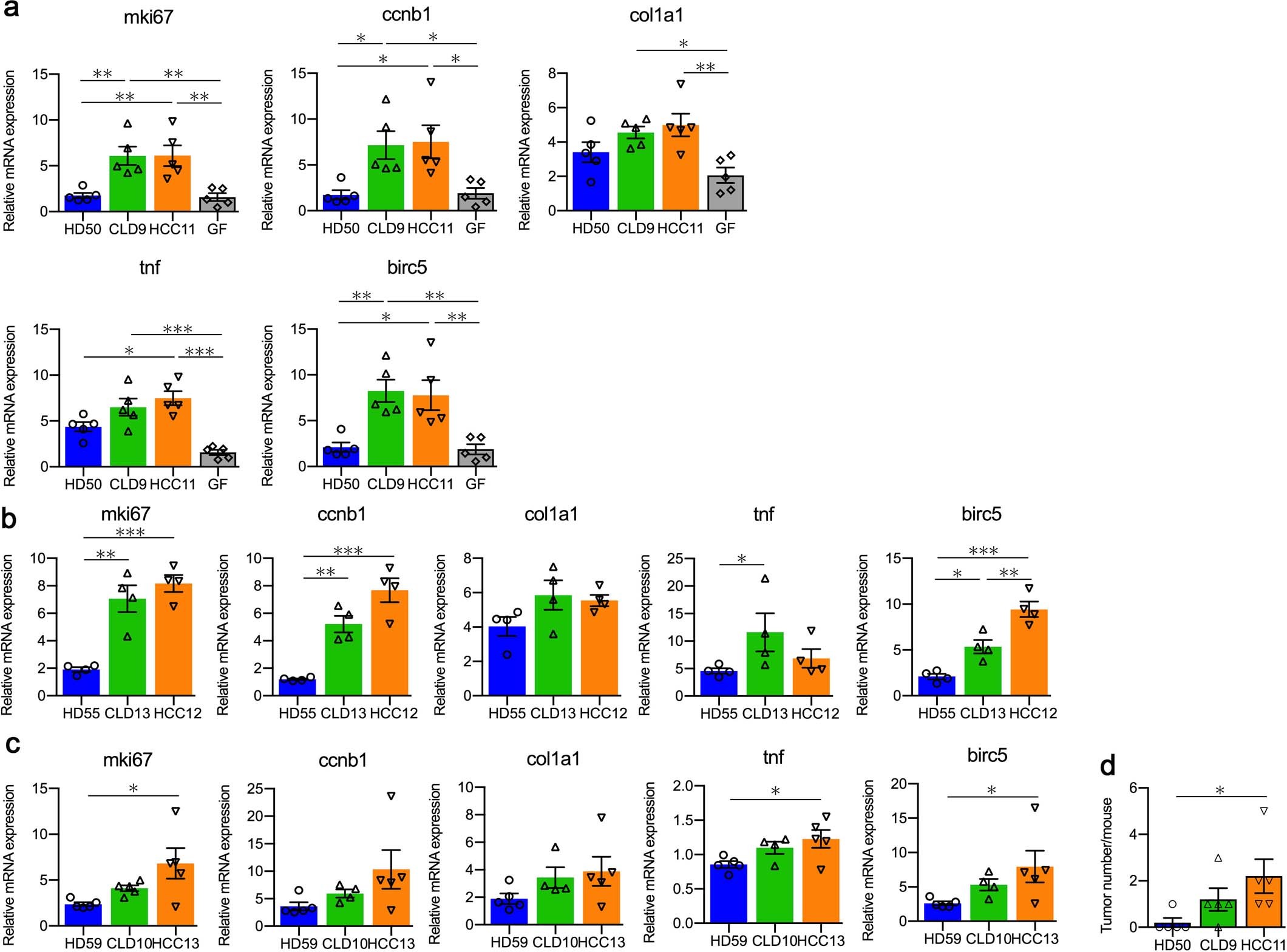 Extended Data Fig. 4: Liver gene expression after transplantation of the subjects’ feces to germ-free mice.
