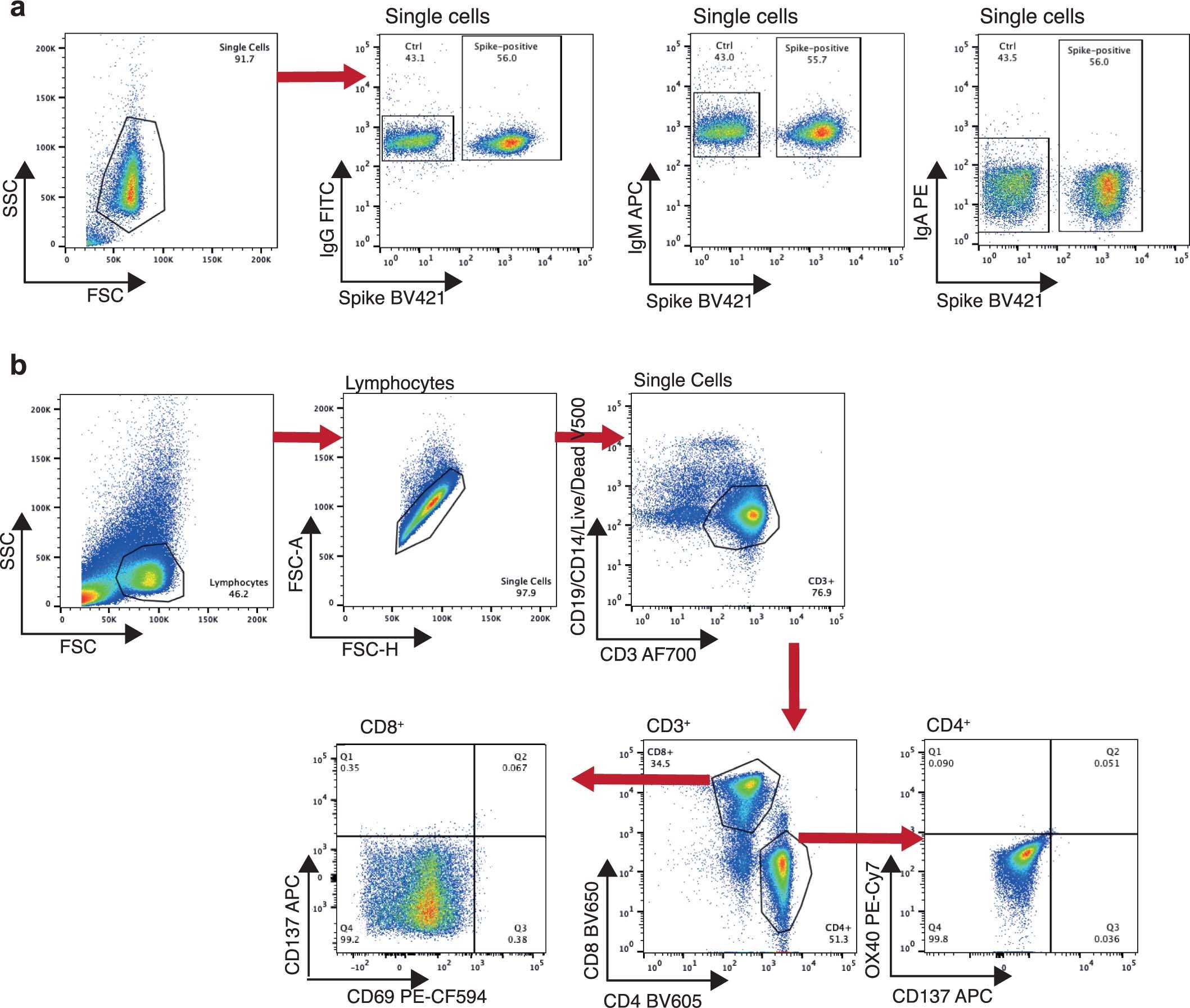 Extended Data Fig. 3: Gating strategy.