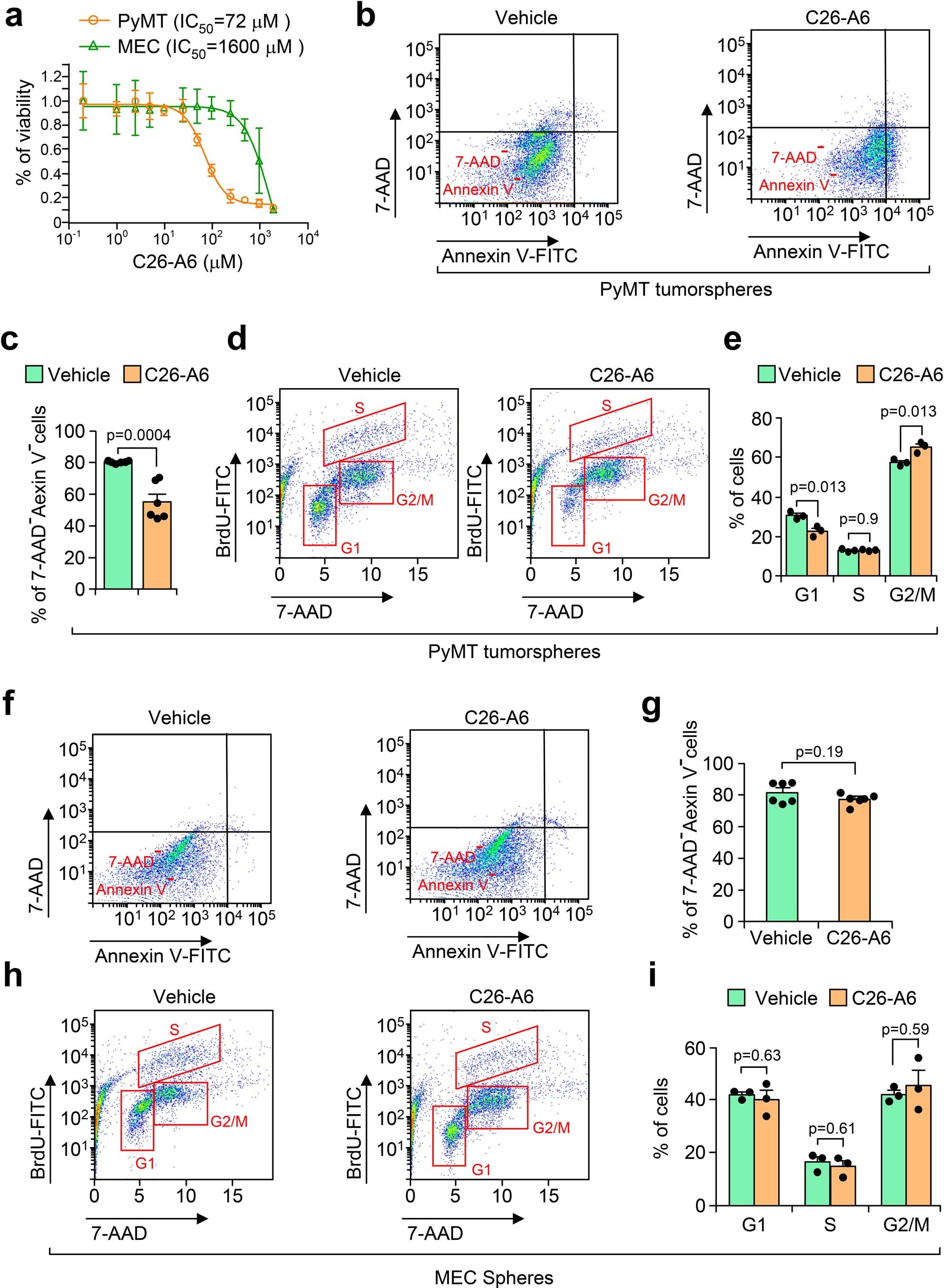 Extended Data Fig. 8: C26-A6 induces cell cycle arrest and reduces cell viability.