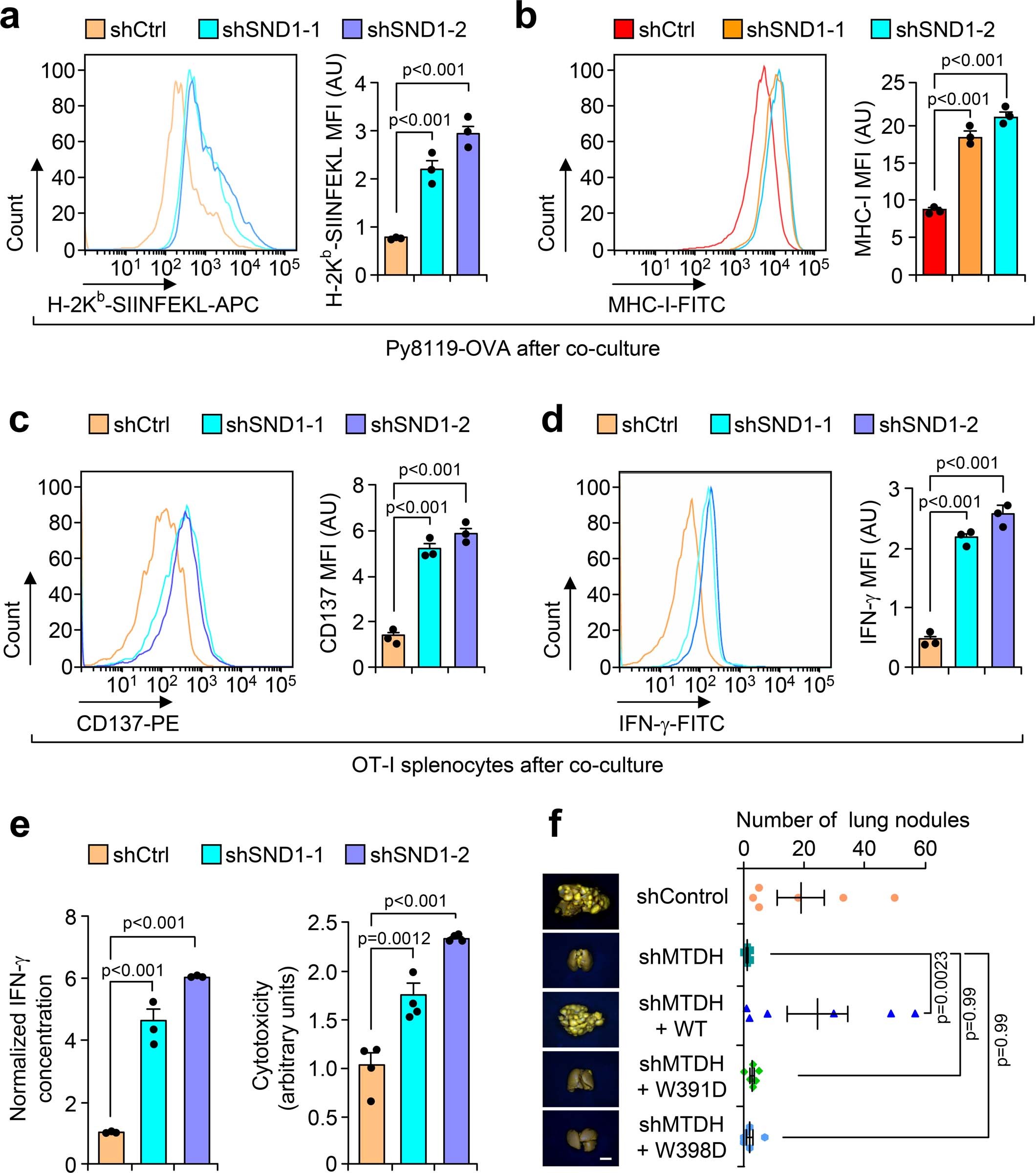 Extended Data Fig. 6: SND1 inhibits antigen presentation and T-cell activation.