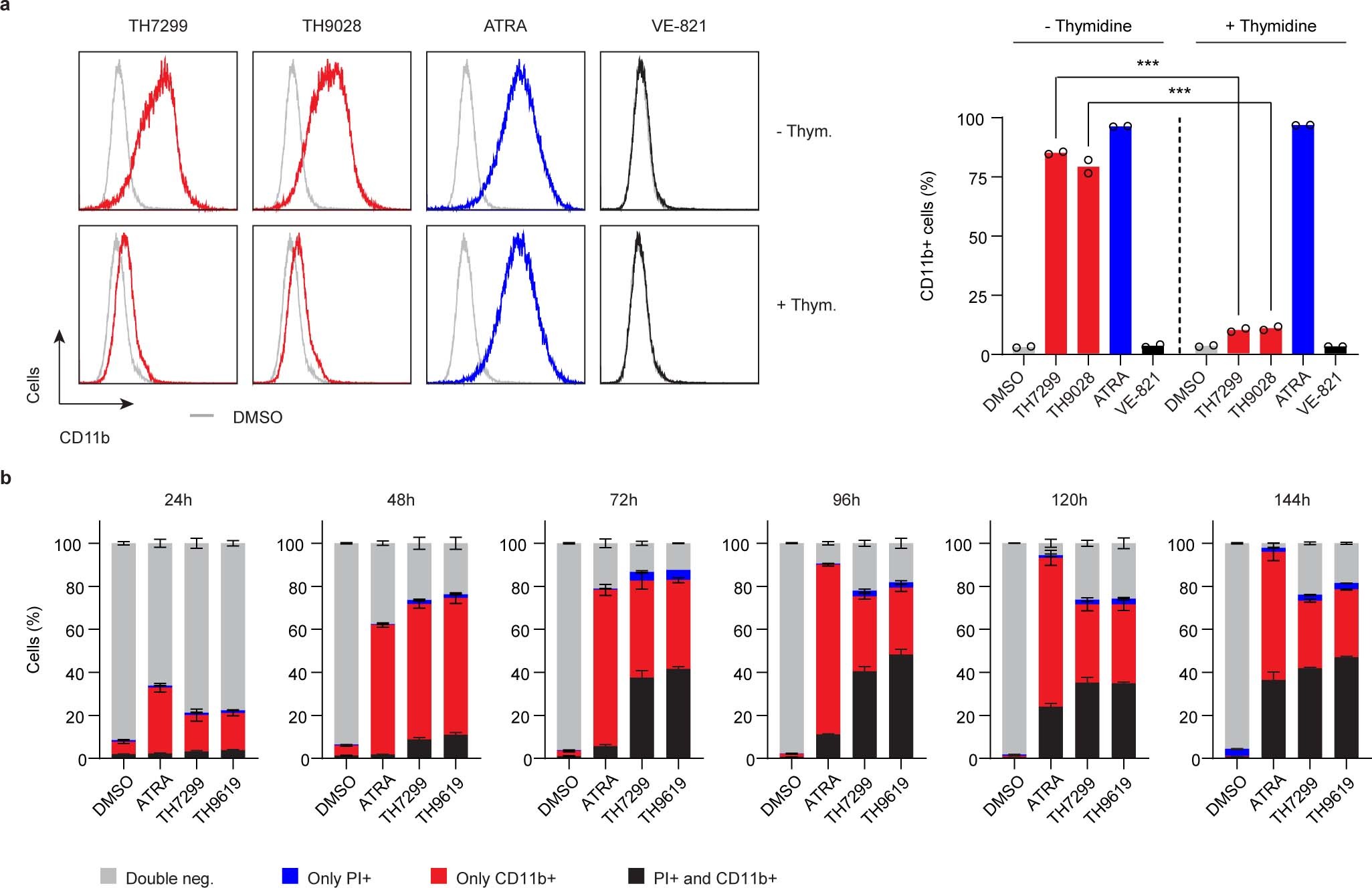 Extended Data Fig. 6: MTHFD2i induce differentiation of AML blasts.