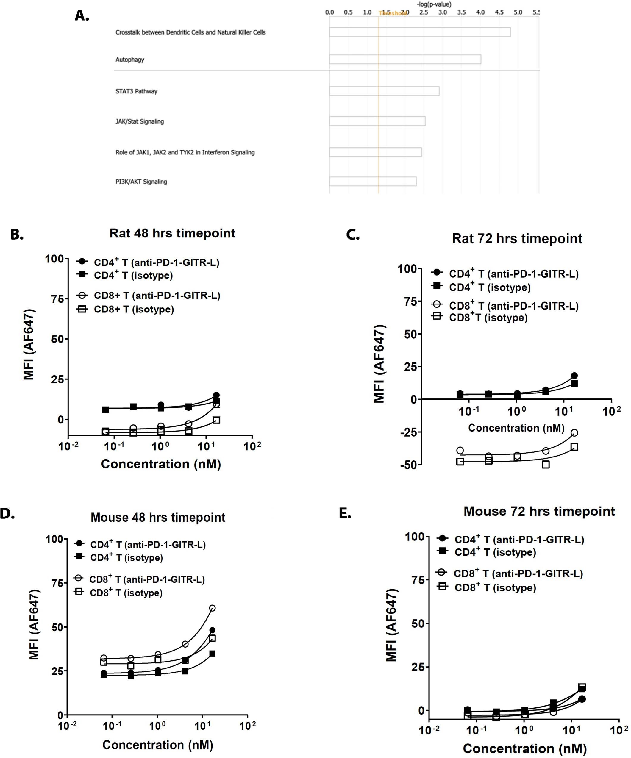 Extended Data Fig. 5: Downstream pathway analysis following dosing of anti-muPD-1-muGITR-L bispecific in CT26 tumor syngeneic model, and rat/mouse cross reactivity of anti-huPD-1-huGITR-L bispecific.