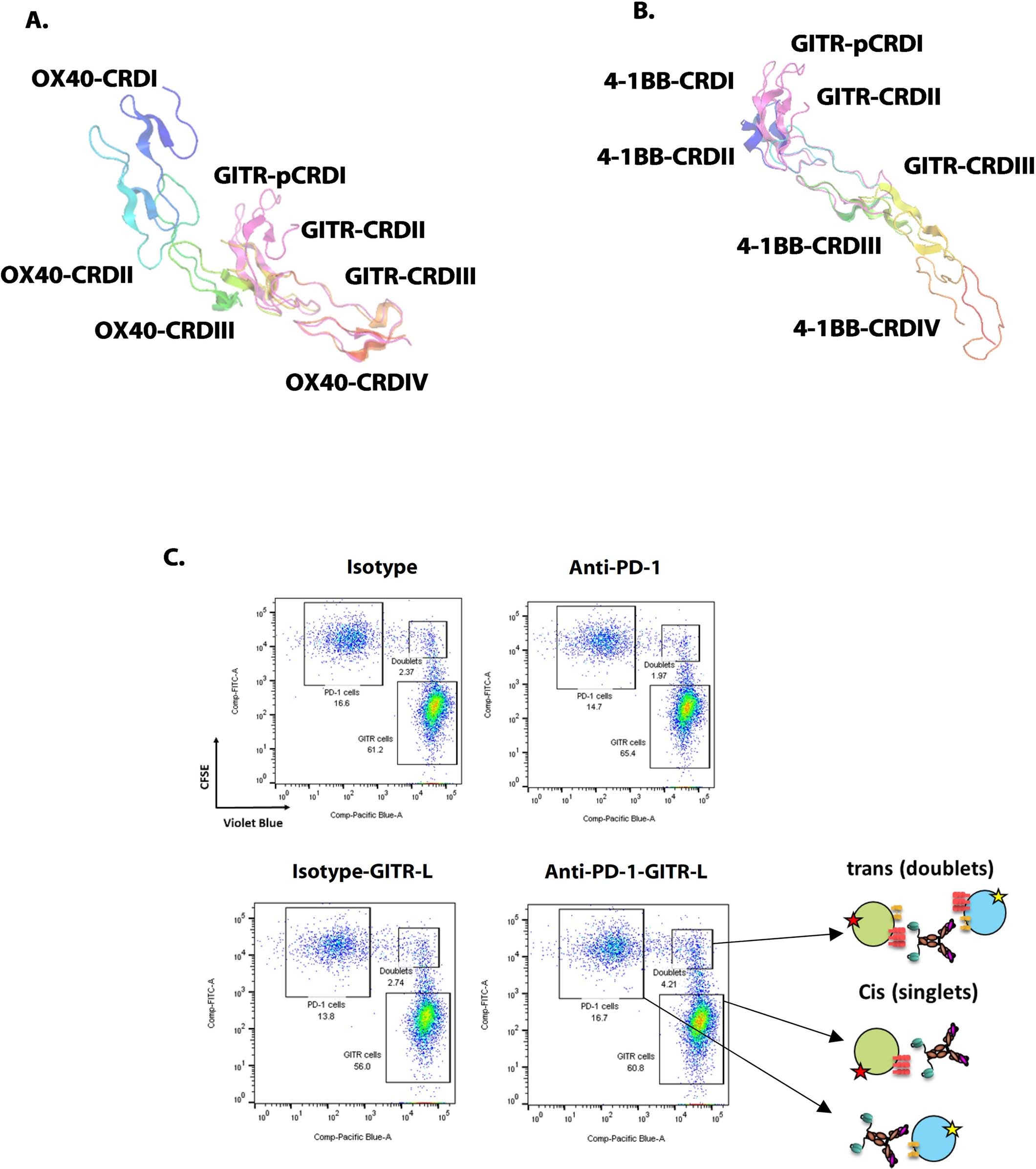 Extended Data Fig. 1: GITR structural alignment comparison with other TNFR members and flow cytometry cell bridging assay with the anti-PD-1-GITR-L bispecific.