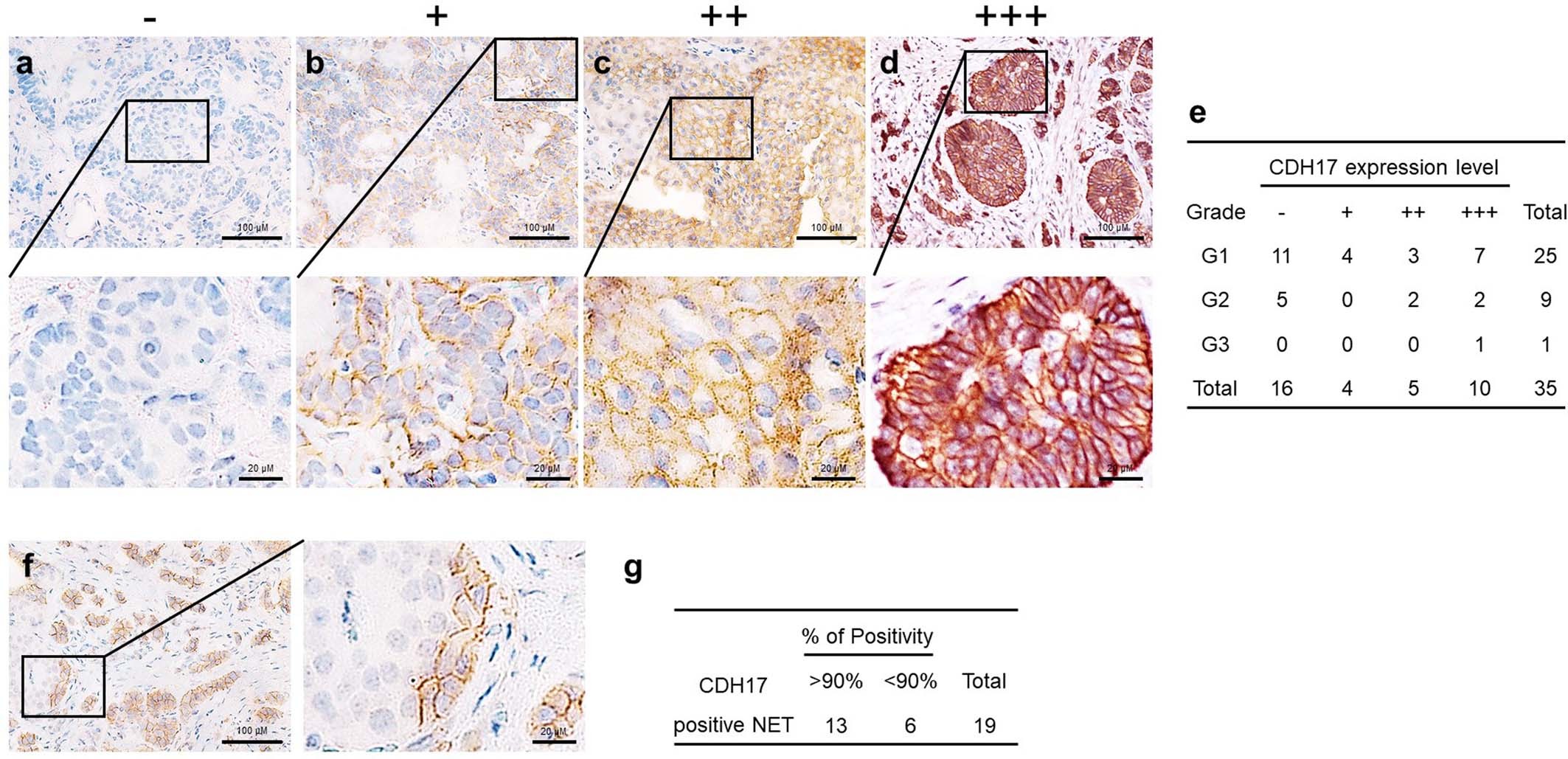 Extended Data Fig. 2