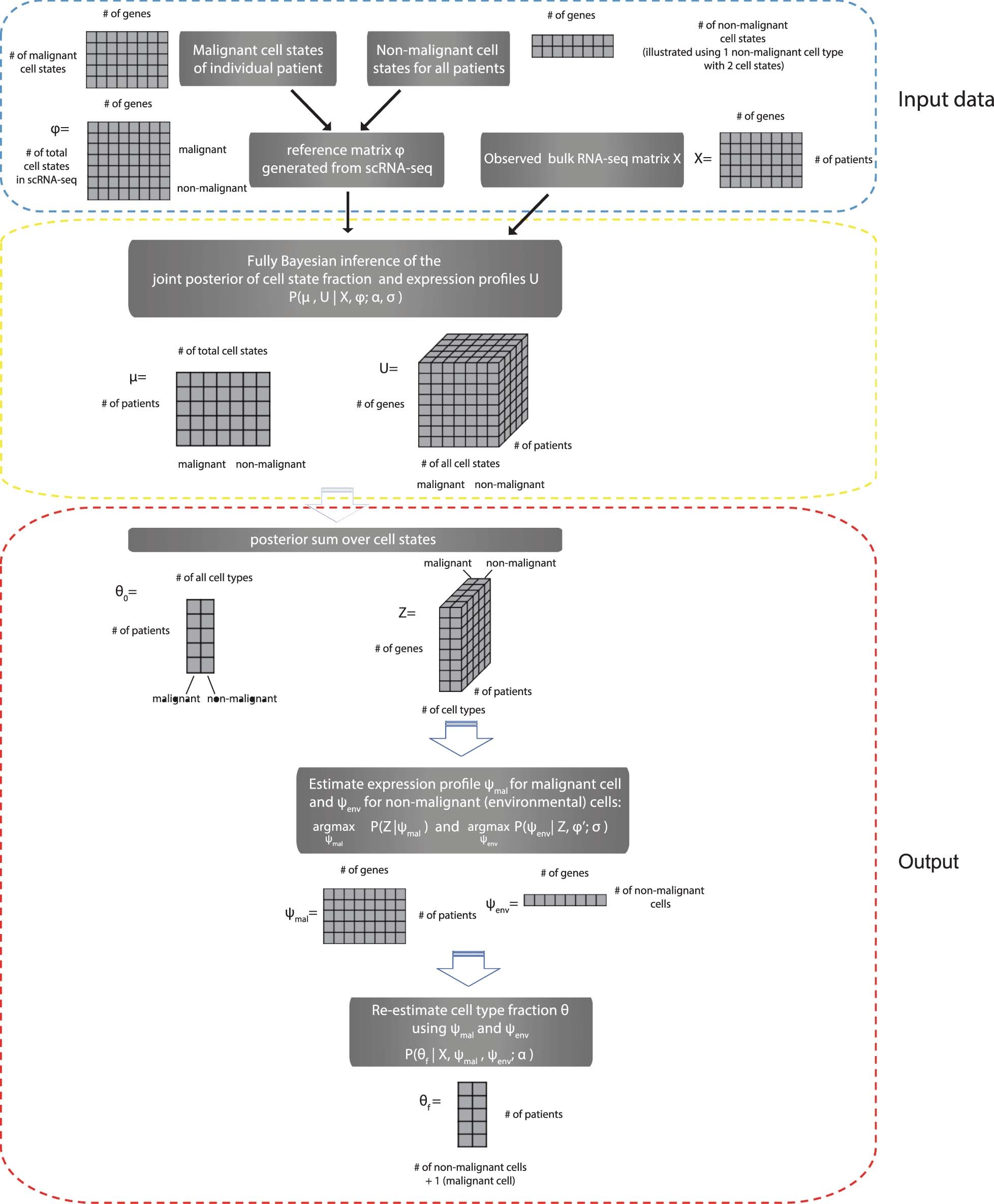 Extended Data Fig. 1